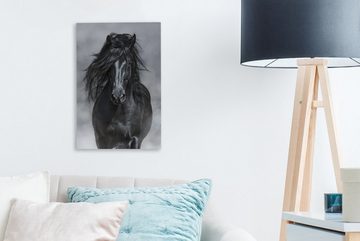 OneMillionCanvasses® Leinwandbild Pferd - Grau - Schwarz, (1 St), Leinwandbild fertig bespannt inkl. Zackenaufhänger, Gemälde, 20x30 cm