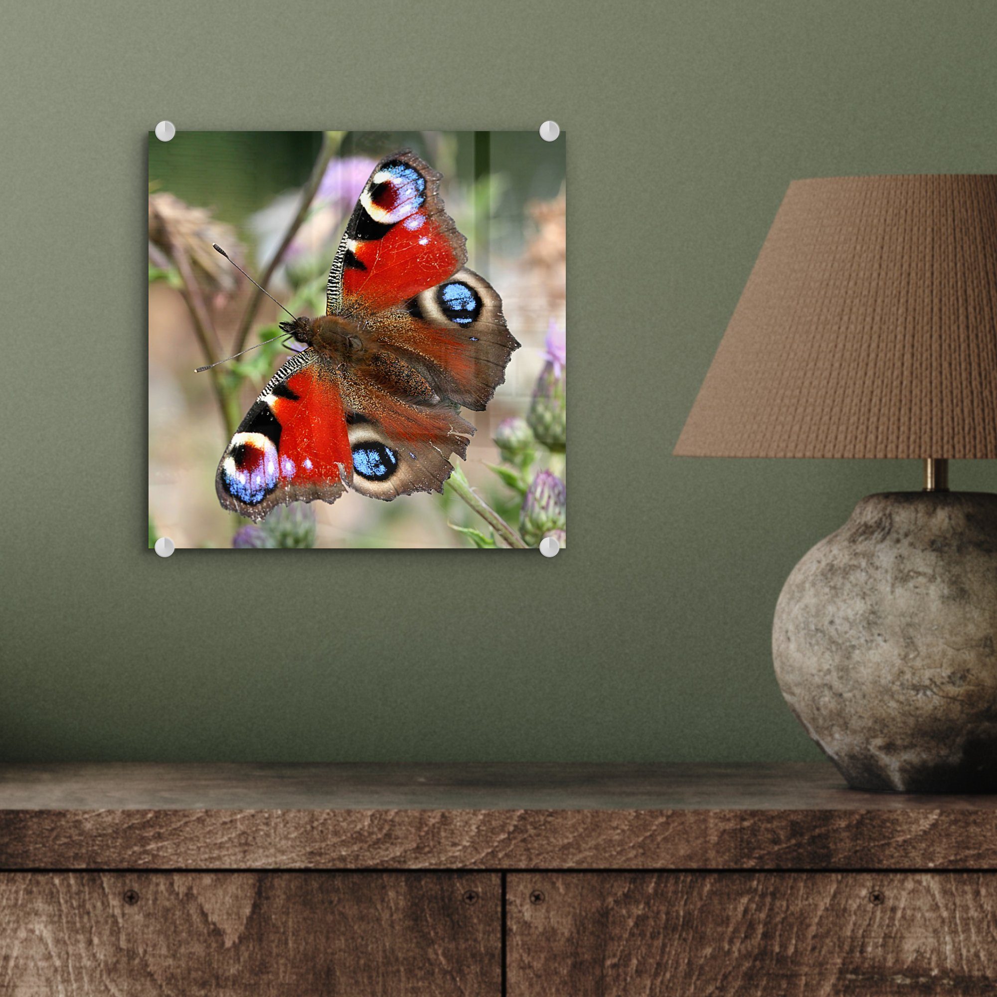 Bilder Glasbilder auf Schmetterling, auf Wandbild Glas - Foto Wanddekoration Tagpfauenauge Acrylglasbild St), - (1 Glas MuchoWow -