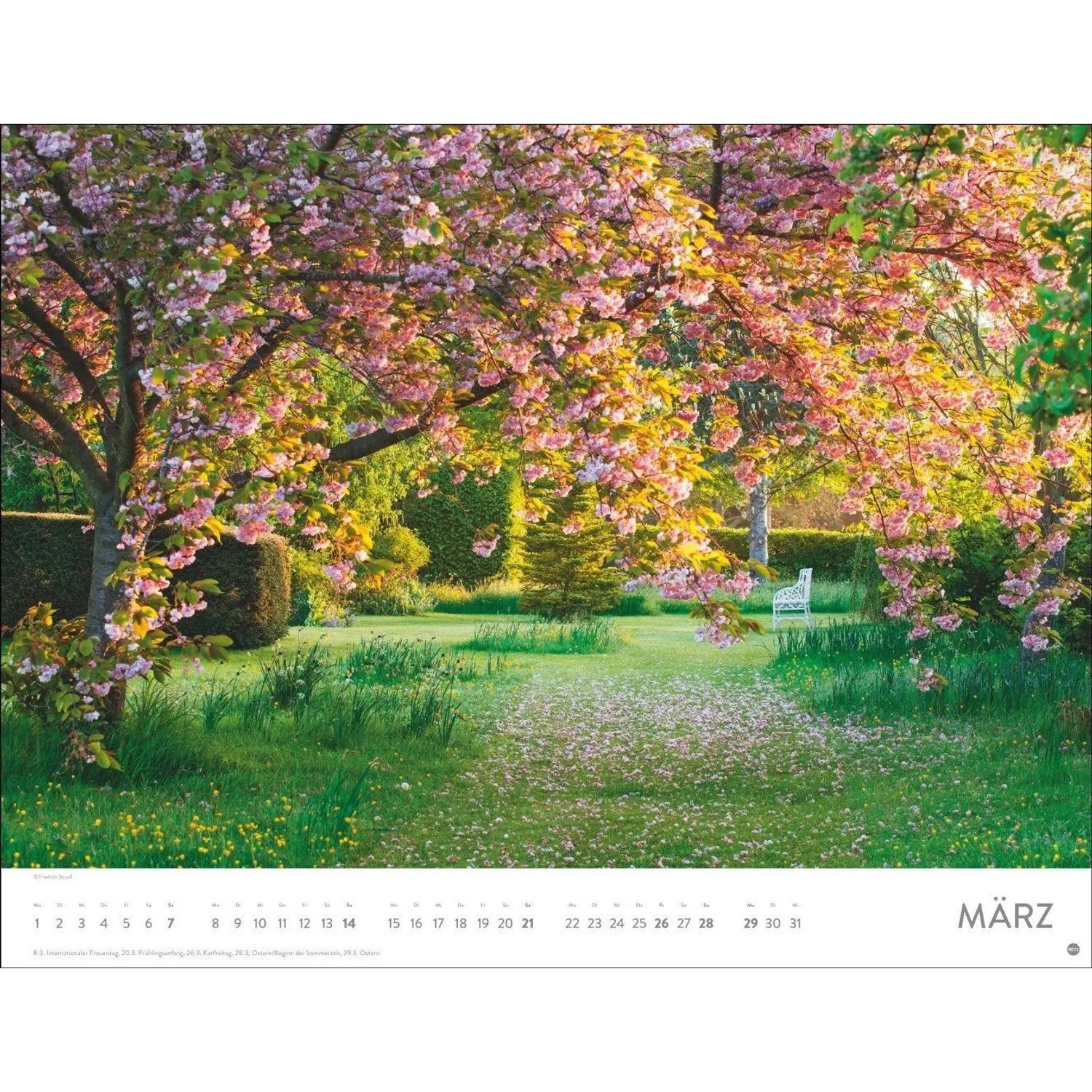 HEYE Wandkalender Gartenparadies Posterkalender 2027 – Bild 5 von 5