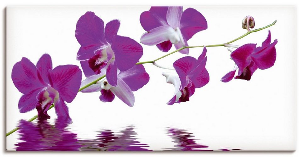 Artland Wandbild Violette Orchideen, Blumen (1 St), als Leinwandbild,  Wandaufkleber oder Poster in versch. Größen