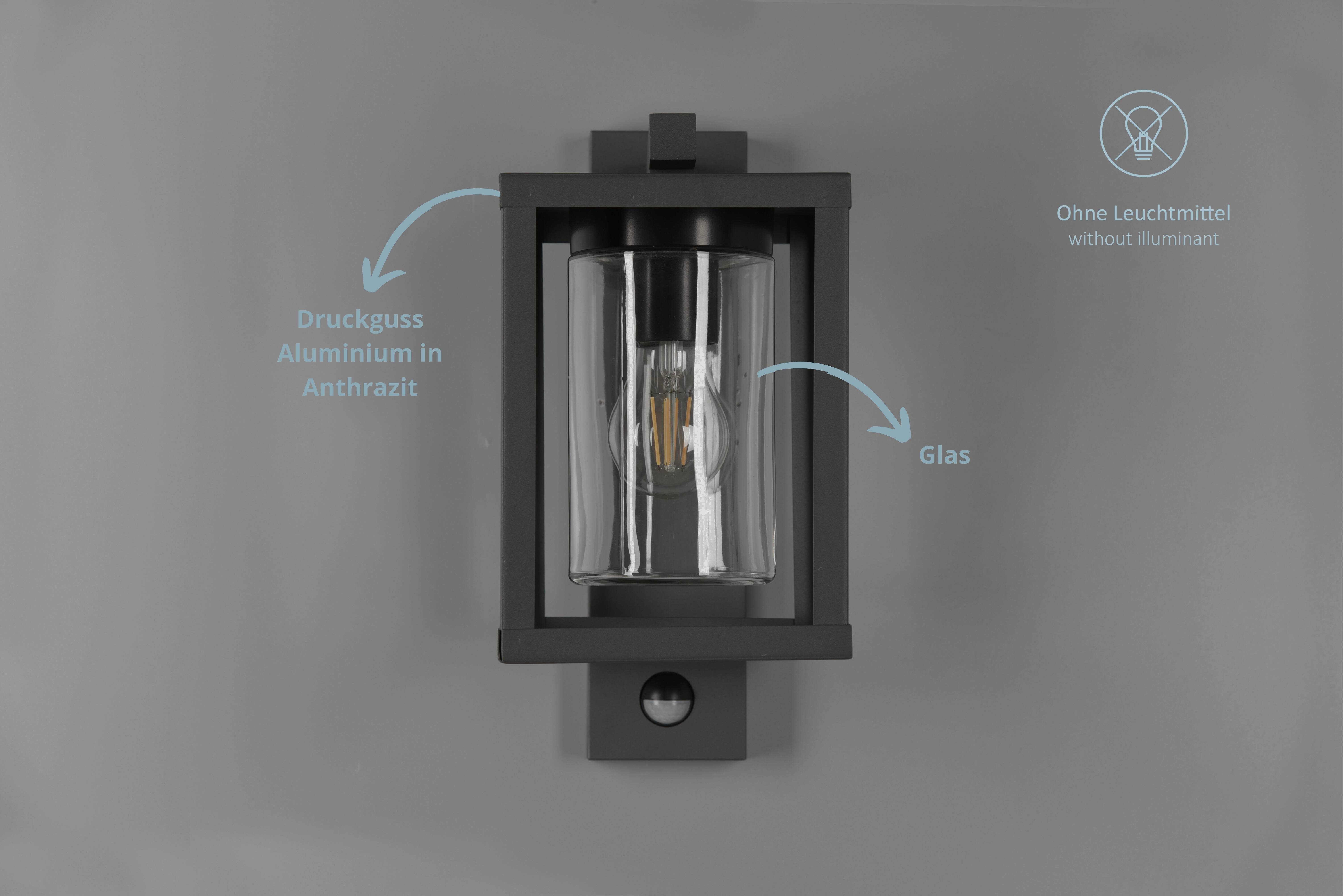 lightling Außen-Wandleuchte Luna, ohne Leuchtmittel, moderne Außenlampe mit günstig online kaufen