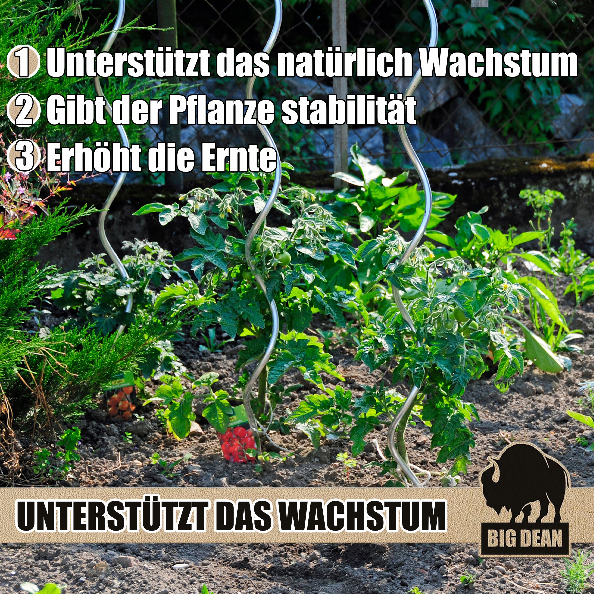 BigDean Rankgitter Tomatenspiralstäbe 110cm verzinkt Rankstab Ranke Pflanzstab Set, 10 St., Tomatenstäbe, Spiralstab, Mit Bindeloch – Bild 4 von 5