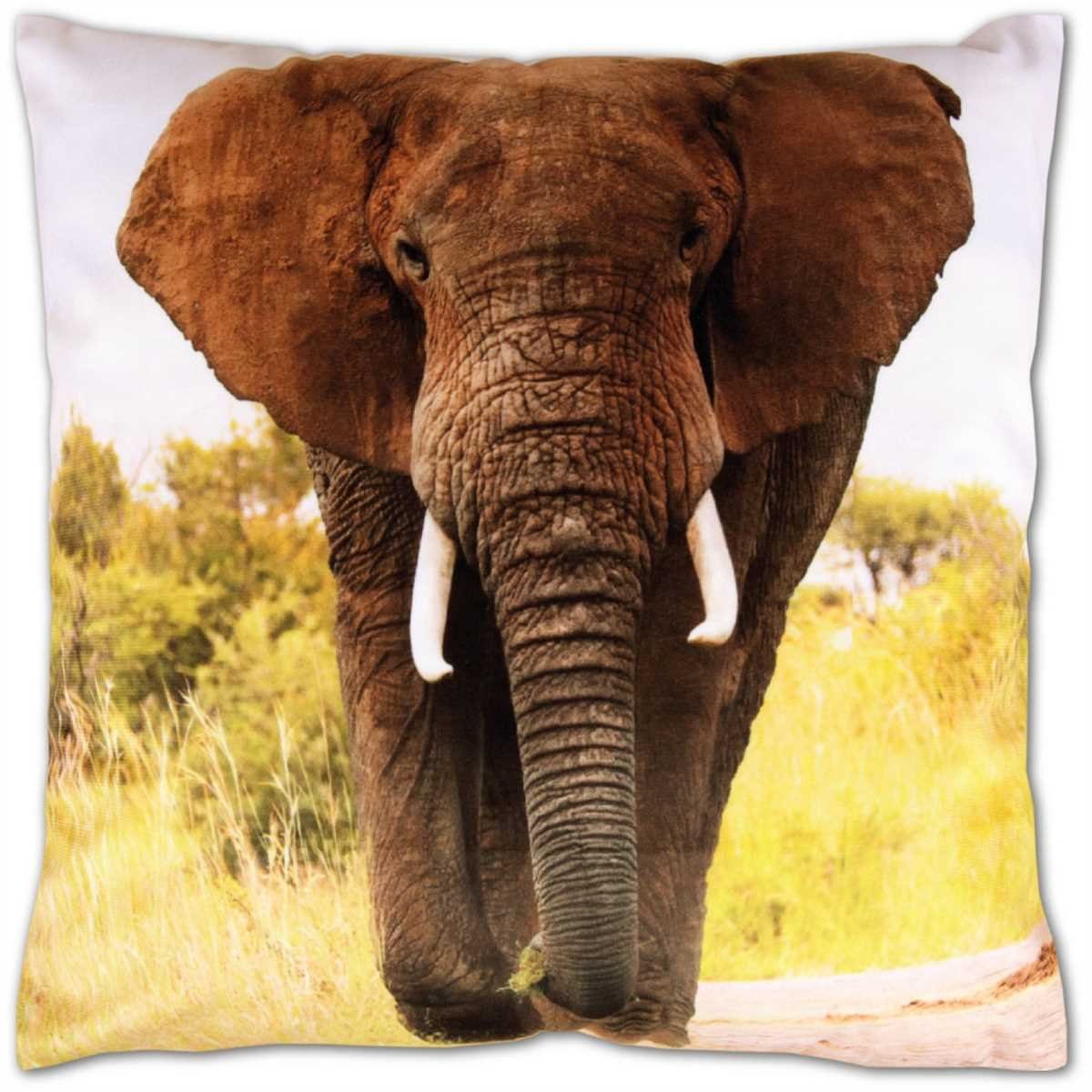 Kissenbezüge, Bestlivings (1 Stück), Kissenbezug mit wahlweise einem Innenkissen (Dekokissen), versch. Naturmotive Elefant