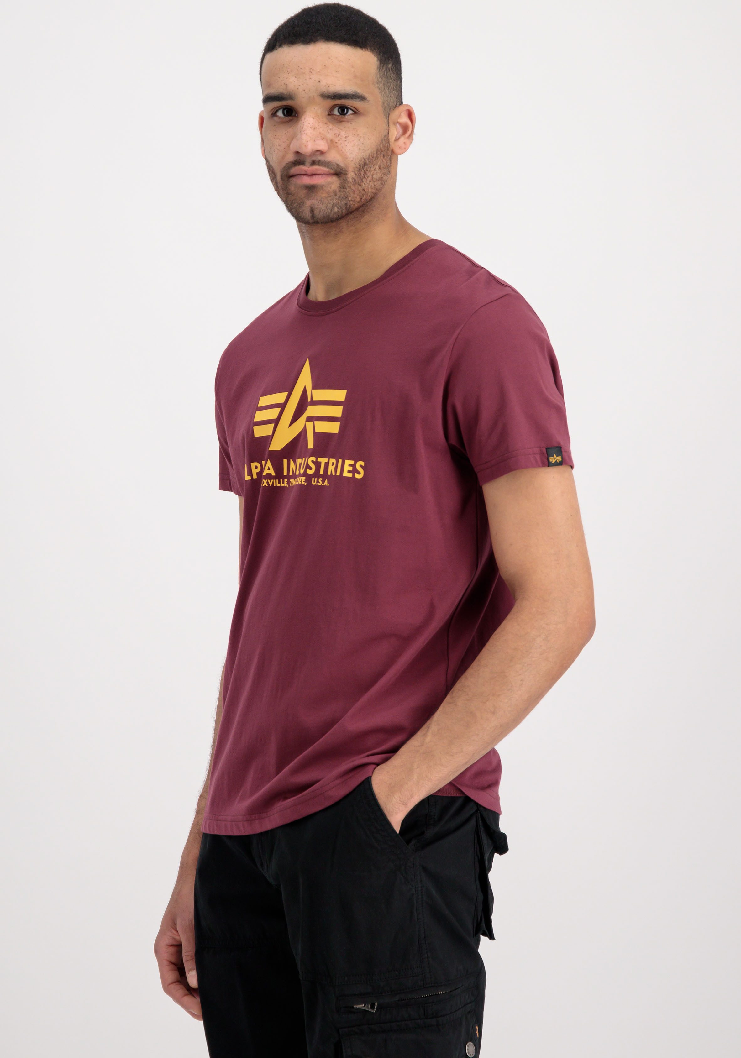 Alpha Industries Rundhalsshirt "Basic T 2 Pack" Set, 2 Stk. tlg. günstig online kaufen