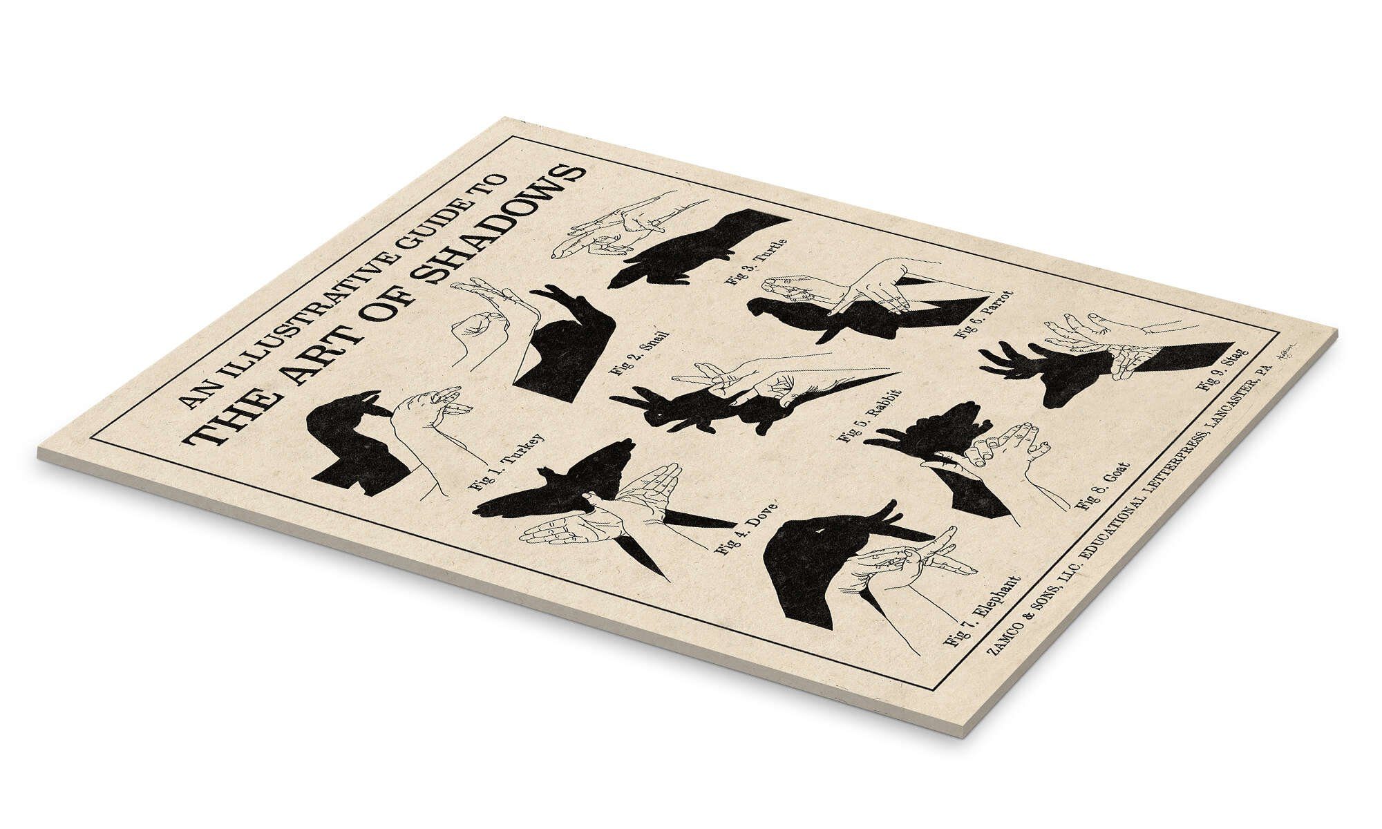 Posterlounge Wandbild Die Kunst der Schattenspiele günstig online kaufen