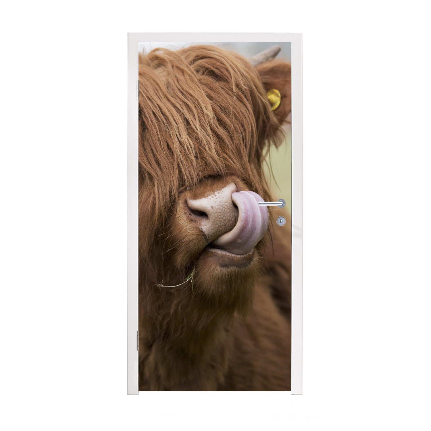 MuchoWow Türtapete Schottischer Highlander - Braun - Tiere, Matt, bedruckt, (1 St), Fototapete für Tür, Türaufkleber, 75x205 cm