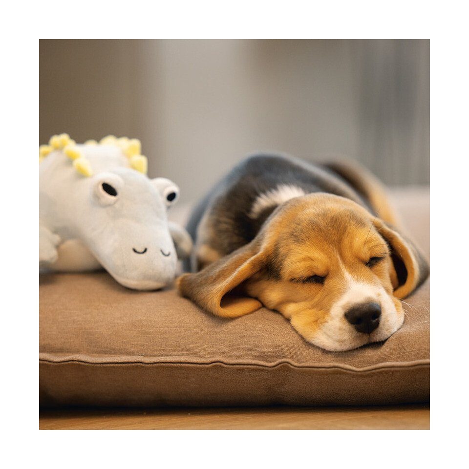 Beeztees Tierkuscheltier Hundespielzeug Puppy Dinosaurier Vince mint