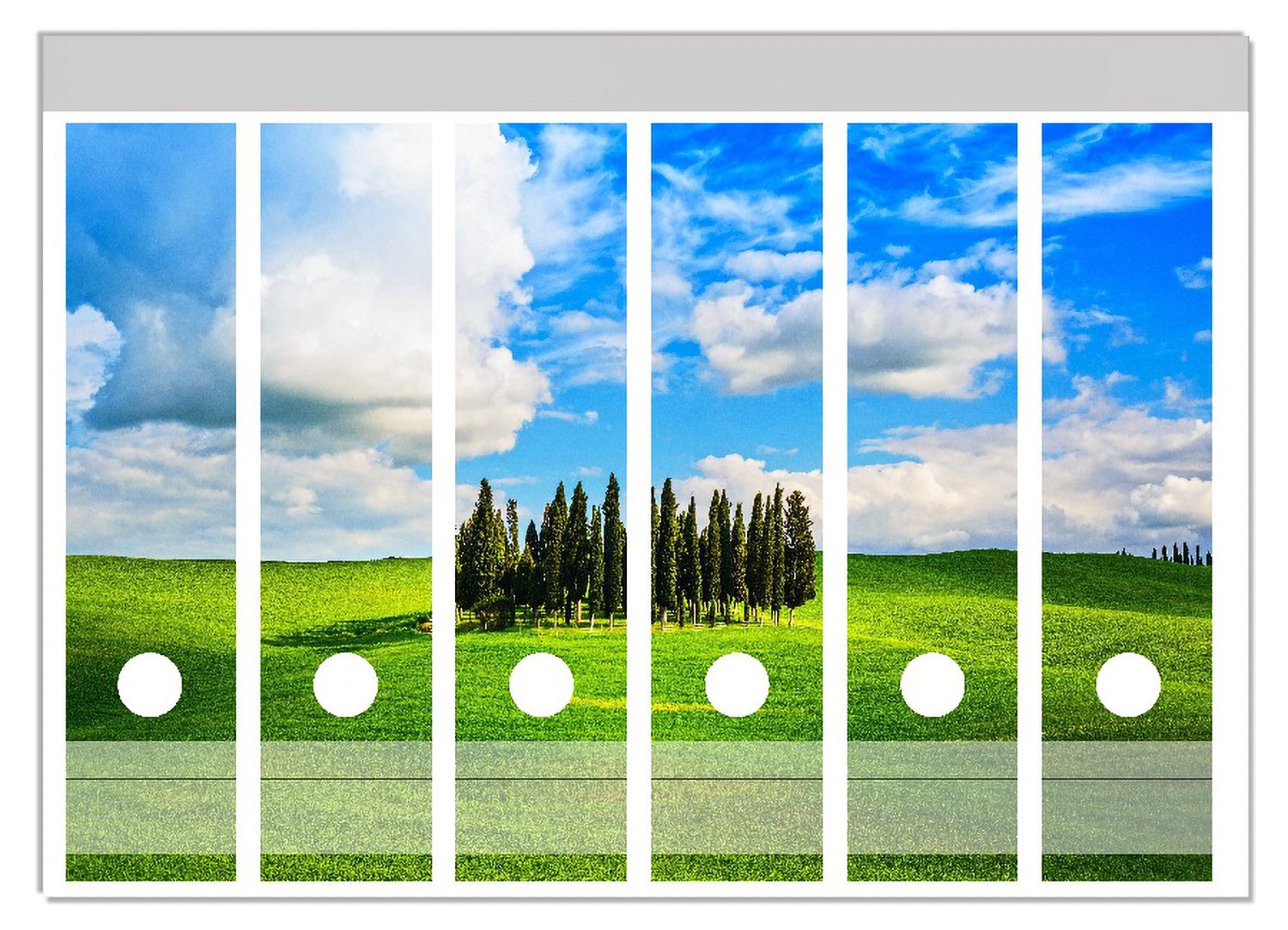 Wallario Etiketten Kleiner Wald inmitten einer weiten Wiese, Ordnerrücken-Sticker in verschiedenen Ausführungen