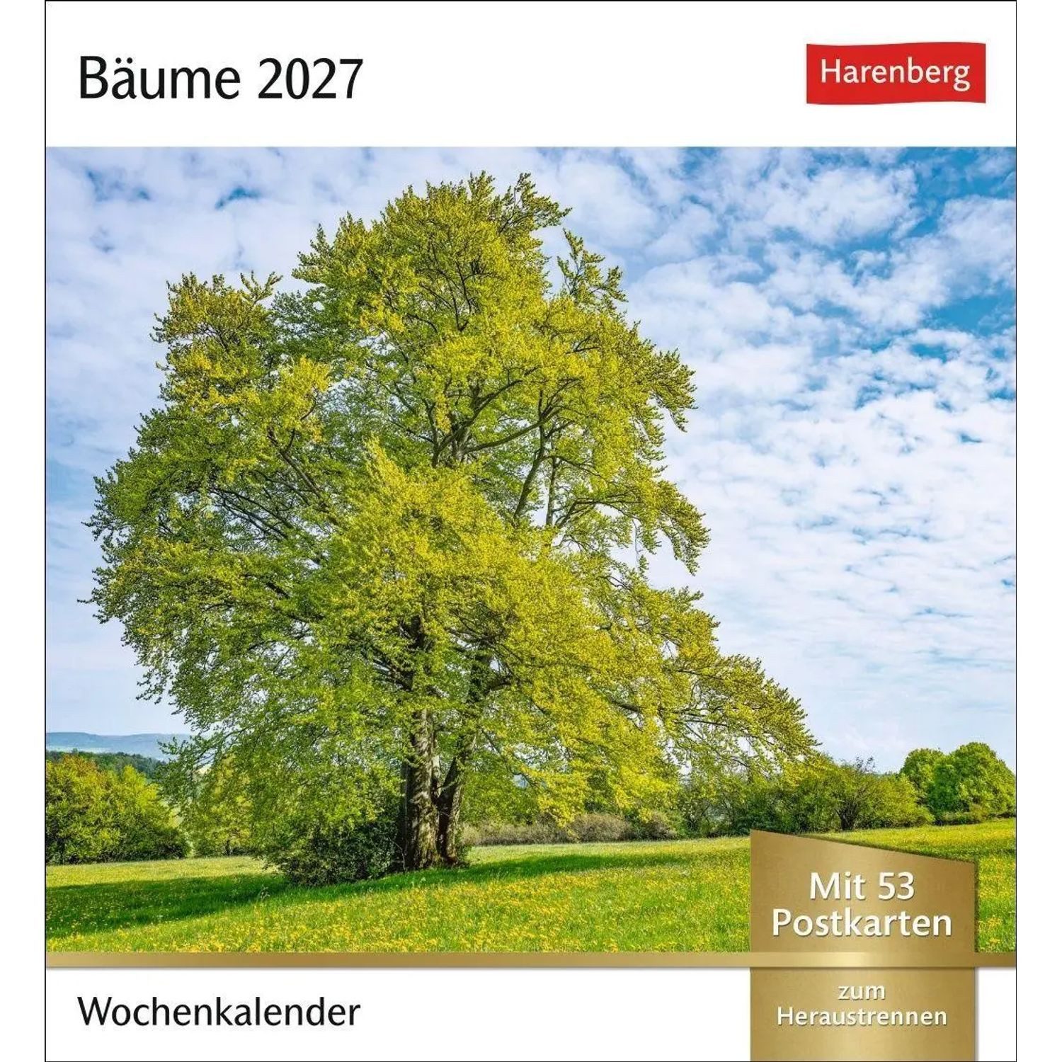 Harenberg Kalender Verlag Bäume Postkartenkalender 2027 - Wochenkalender mit 53 Postkarten