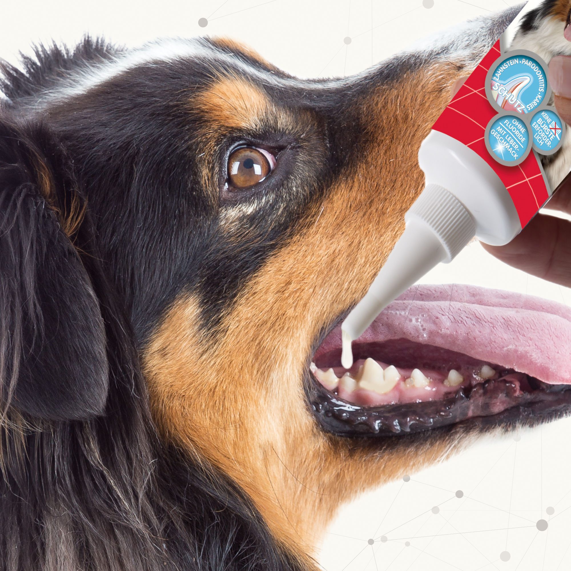 beaphar Tier-Zahncreme Dog-A-Dent Zahngel für Hunde & Katzen - 100 g