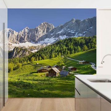 Bilderdepot24 Fototapete Berge Steiermark Almwiese Natur Landschaft Wanddeko, Glatt, Matt, (Vliestapete inkl. Kleister oder selbstklebend), Wohnzimmer Schlafzimmer Küche Flur Motivtapete Vliestapete Wandtapete