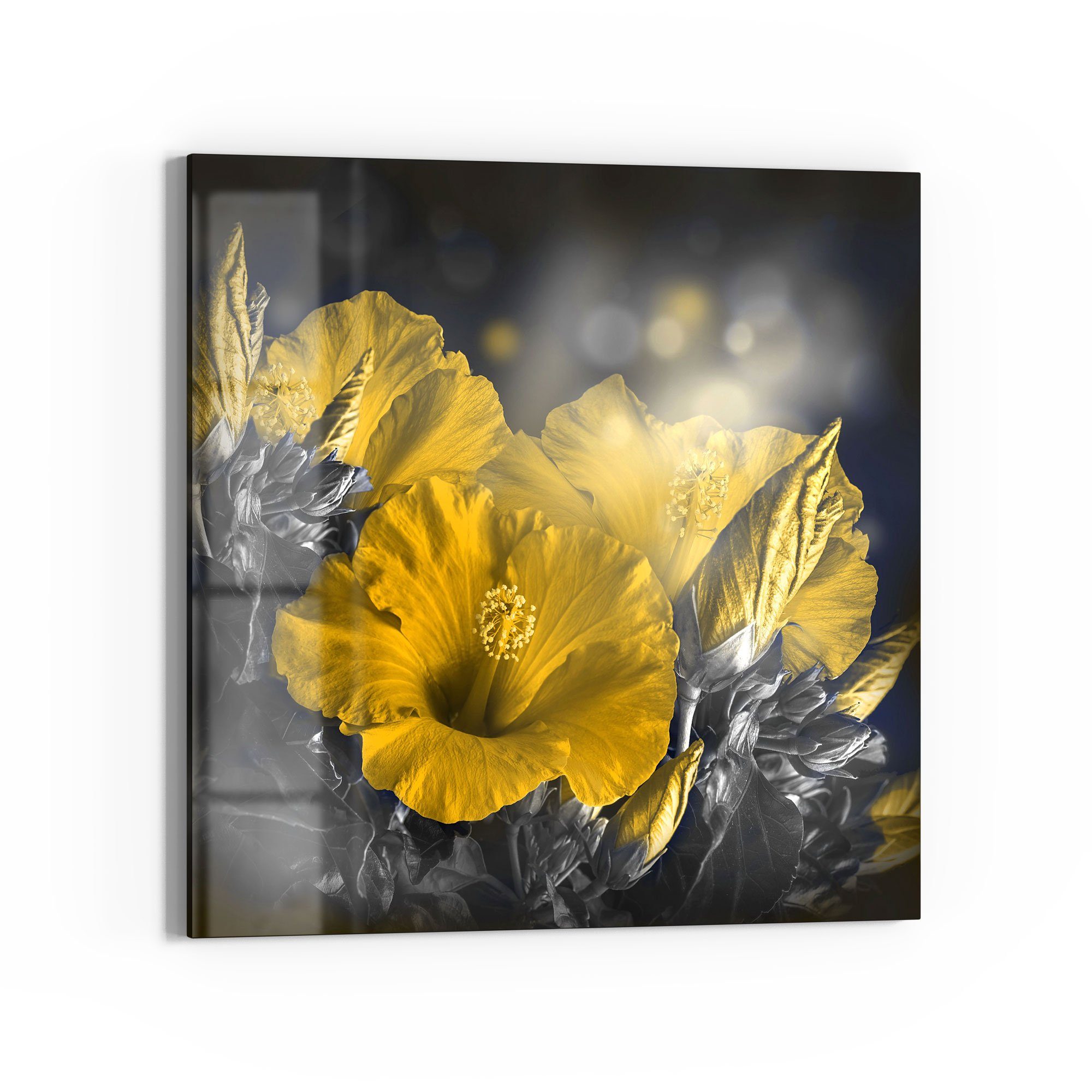 DEQORI Glasbild 'Blüten des Roseneibisch', 'Blüten des Roseneibisch', Glas Wandbild Bild schwebend modern