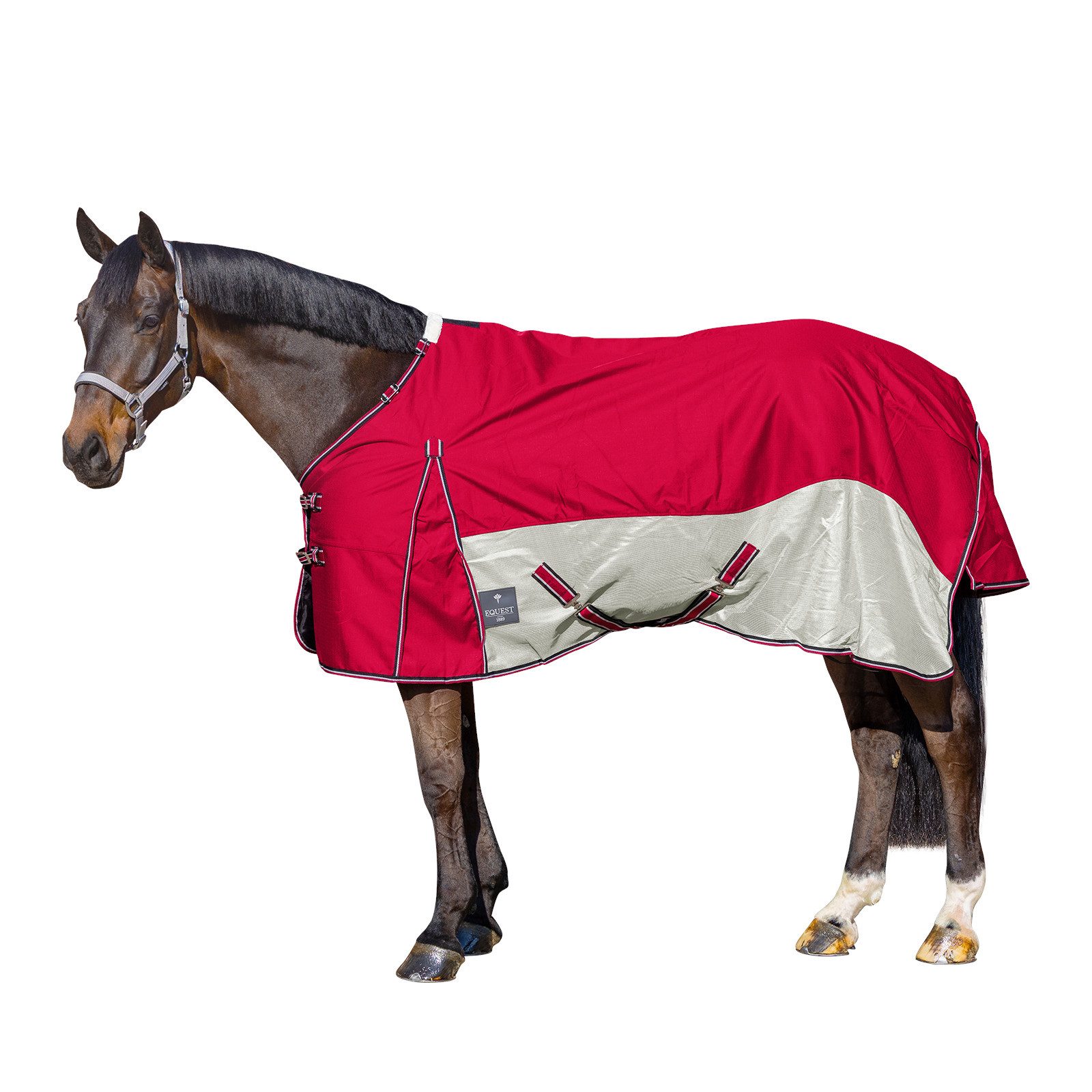 EQuest Pferde-Übergangsdecke Sommerdecke Breeze für Pferde, Rot/Grau, XL / 155 cm