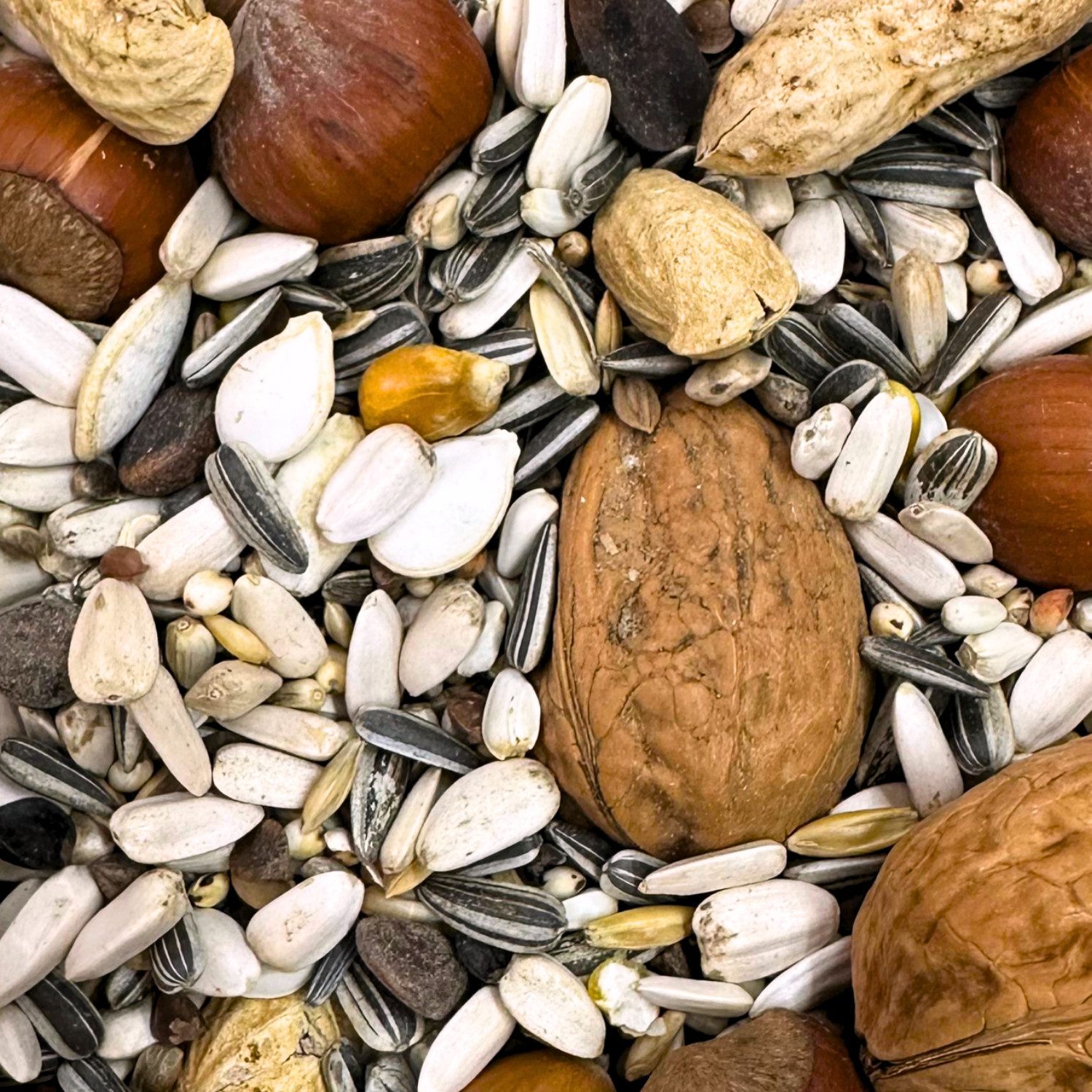 Supravit Eichhörnchen Futter 1kg - Ganzjähriges Eichhörnchenfutter, Hauptfutter für: Nutz-/ Wildtier