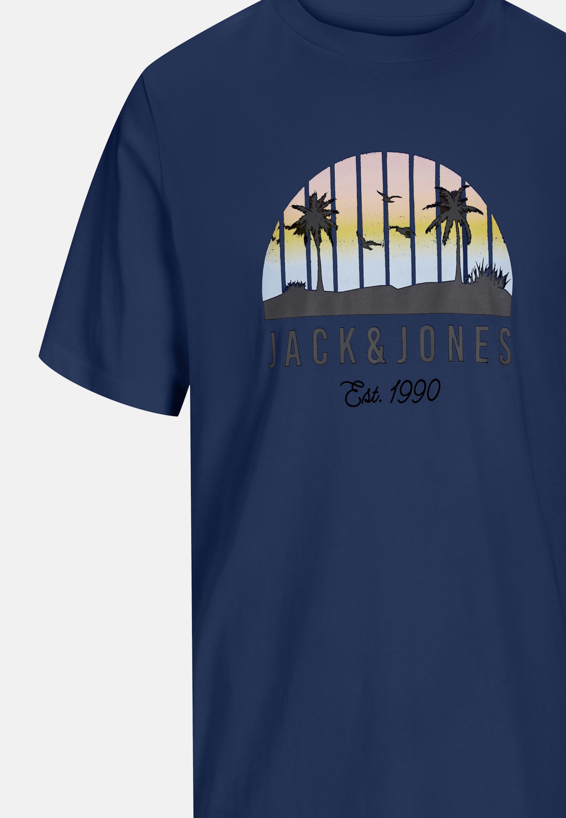 Jack & Jones T-Shirt T-Shirt PALM günstig online kaufen