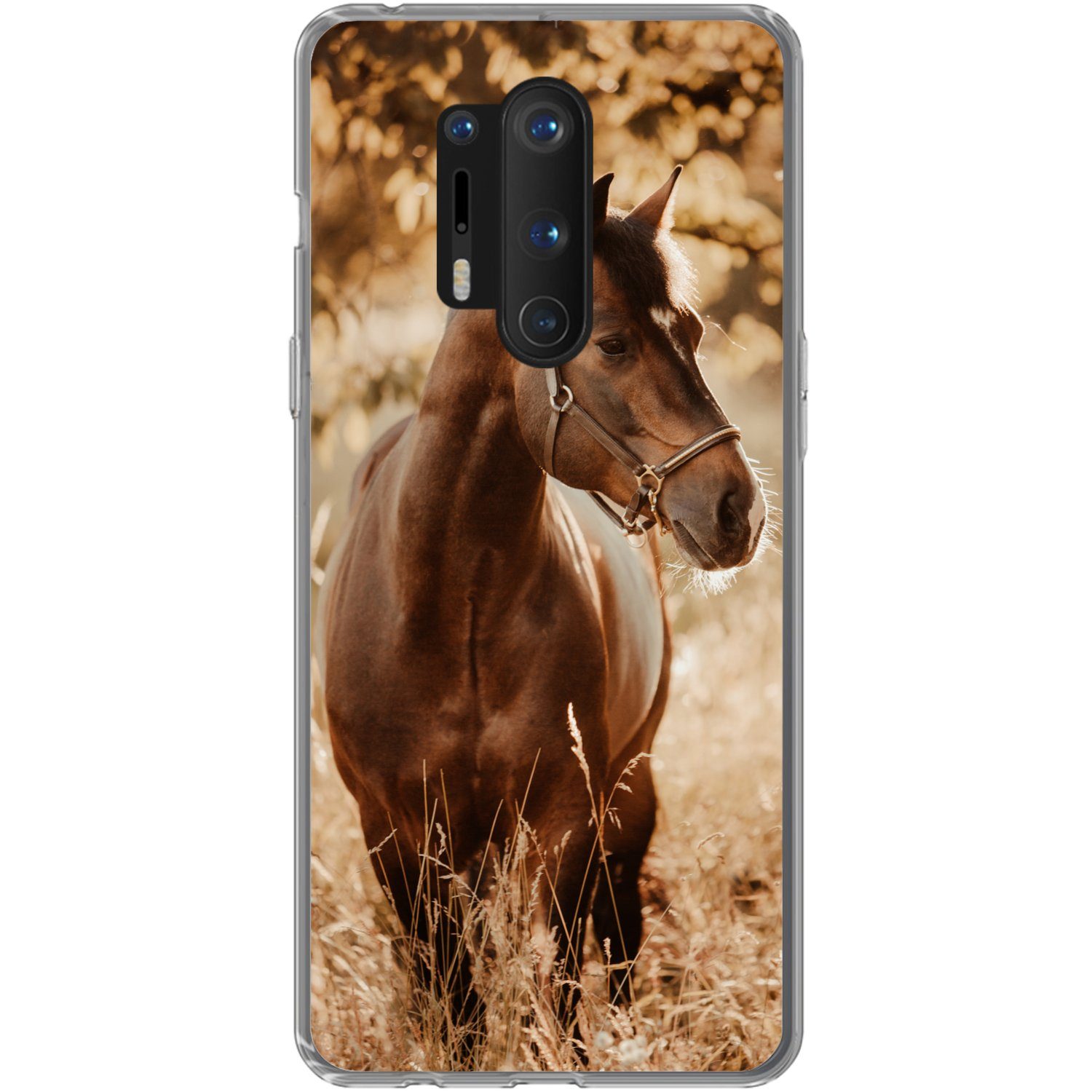 MuchoWow Handyhülle für OnePlus 8 Pro Pferd - Sonne - Porträt - Natur - Braun, Phone Case, Silikon, Schutzhülle Dünn