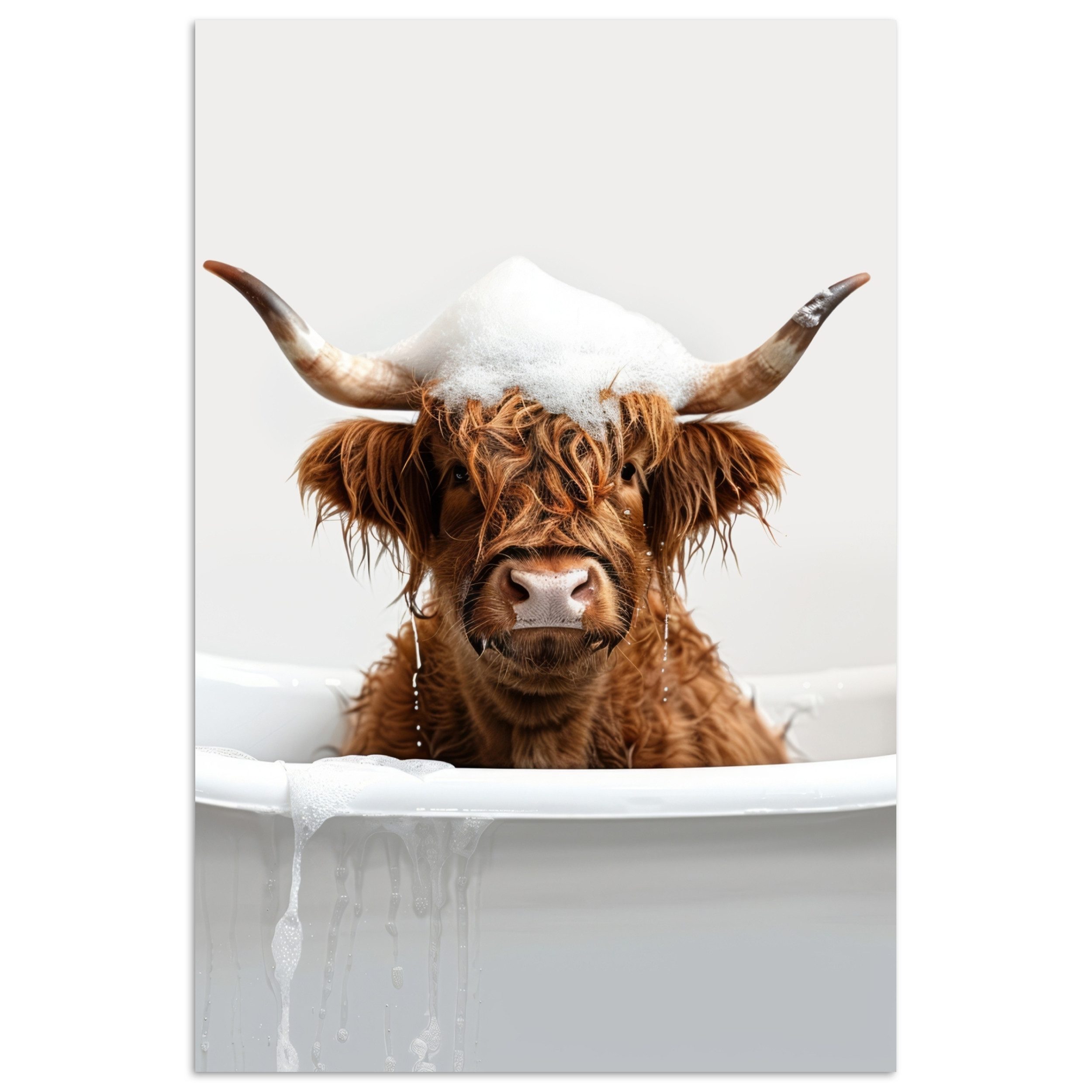 MuchoWow Poster Schottischer Highlander - Bad günstig online kaufen