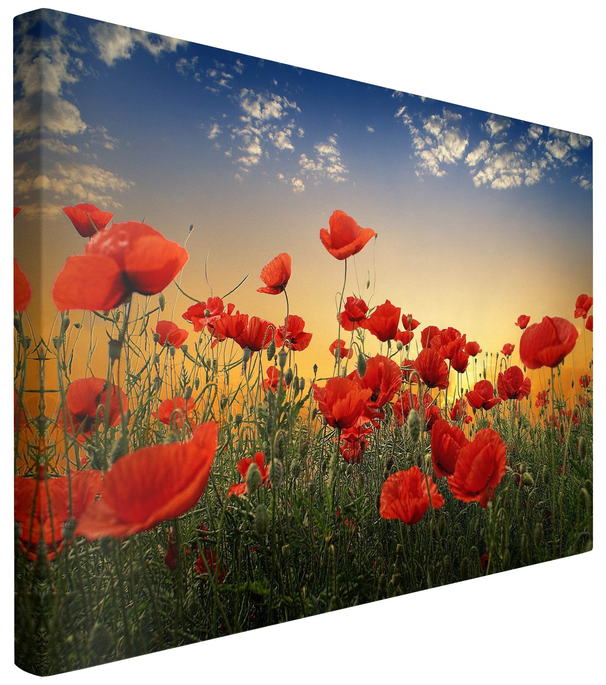 Bilderdepot24 Leinwandbild Blumen Modern Mohnblumenfeld Sonnenuntergang günstig online kaufen