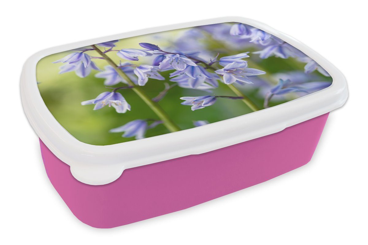 MuchoWow Lunchbox Eine Nahaufnahme von spitzen Sternhyazinthen, Kunststoff, (2-tlg), Brotbox für Erwachsene, Brotdose Kinder, Snackbox, Mädchen, Kunststoff rosa