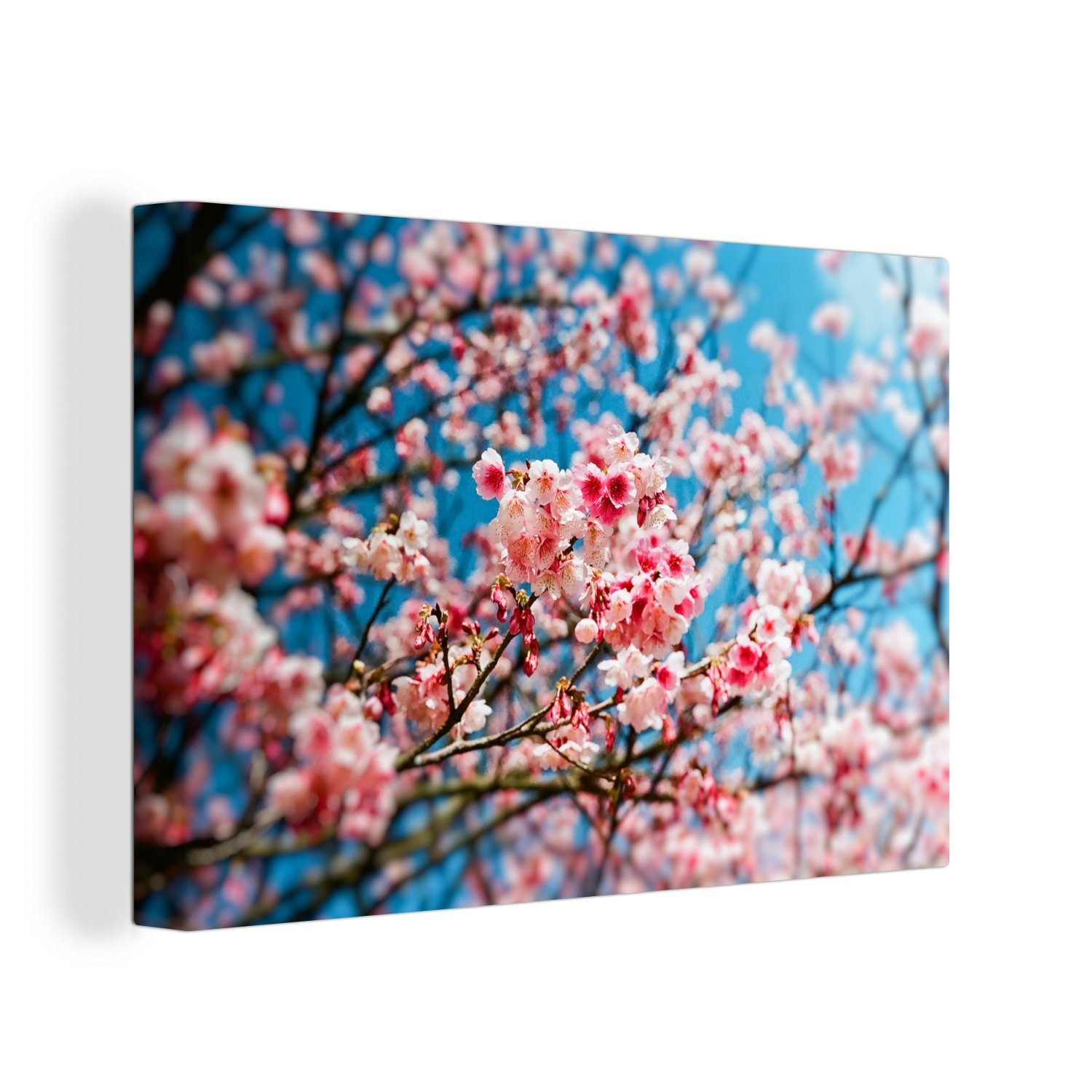 OneMillionCanvasses® Leinwandbild Blüte - Himmel - Baum, (1 St), Wandbild Leinwandbilder, Aufhängefertig, Wanddeko, 30x20 cm