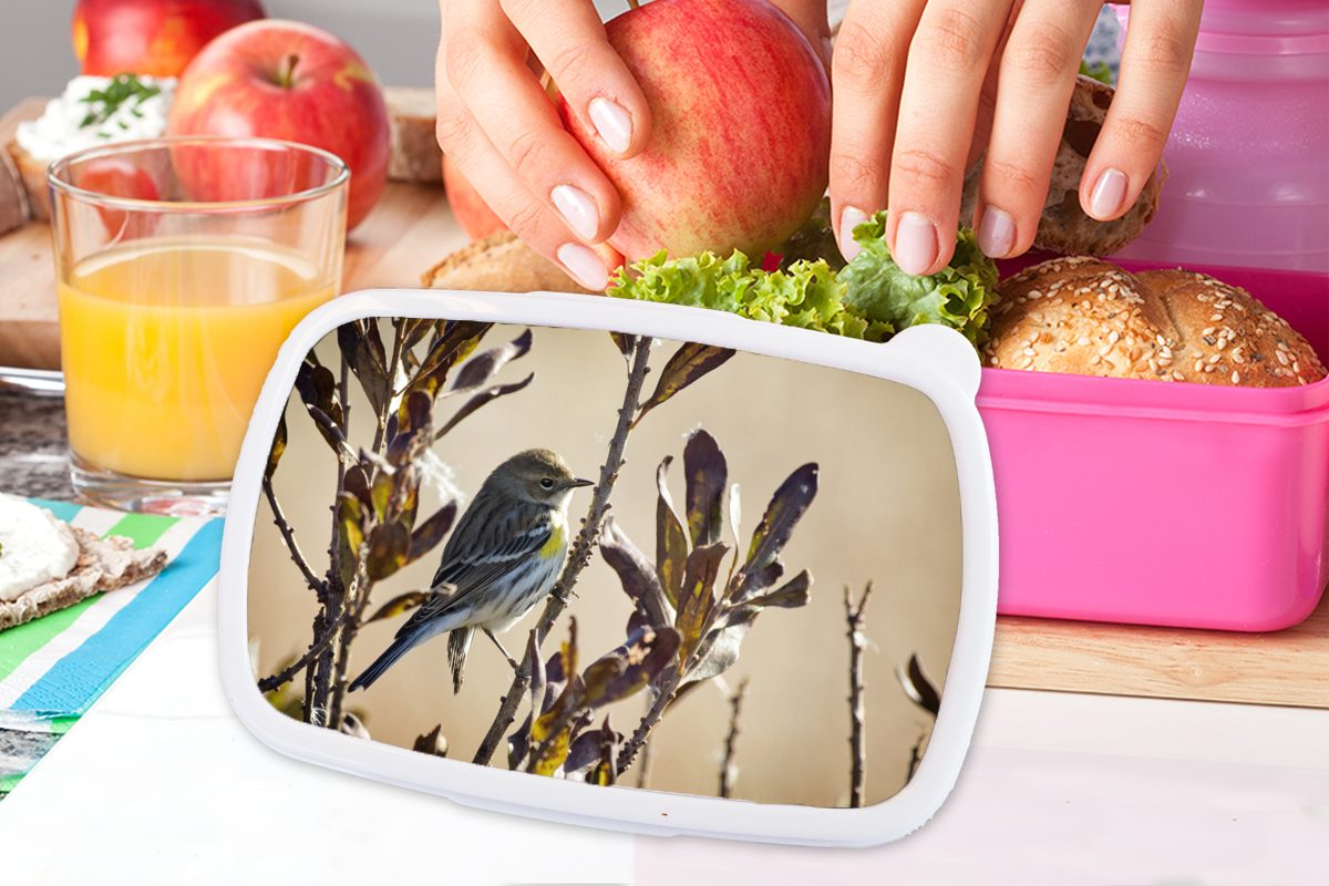 Snackbox, Erwachsene, Lunchbox Brotdose Blättern, Mädchen, MuchoWow rosa (2-tlg), zwischen Kinder, Kunststoff Vogel für Zweig mit Kunststoff, einem Brotbox