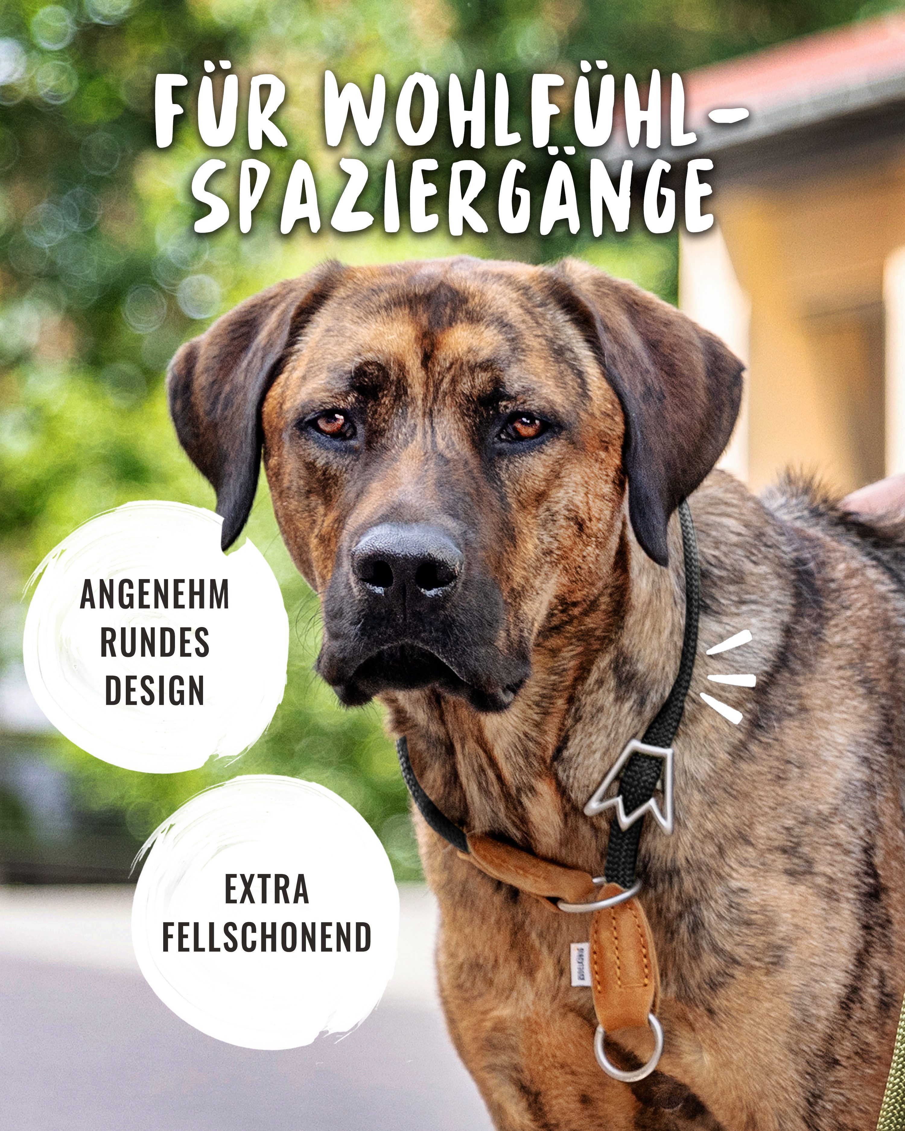 Rudelkönig Hunde-Halsband Zugstopp Halsband Hund Emma, Robustes Hundehalsband, Echtleder, Nylon, Elegantes Tau Halsband