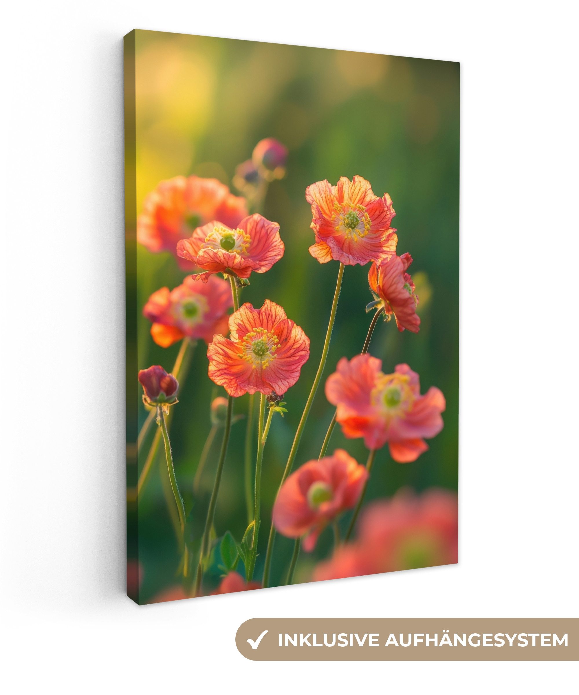 OneMillionCanvasses® Leinwandbild Blumenfeld - Sonnenstrahlen - günstig online kaufen
