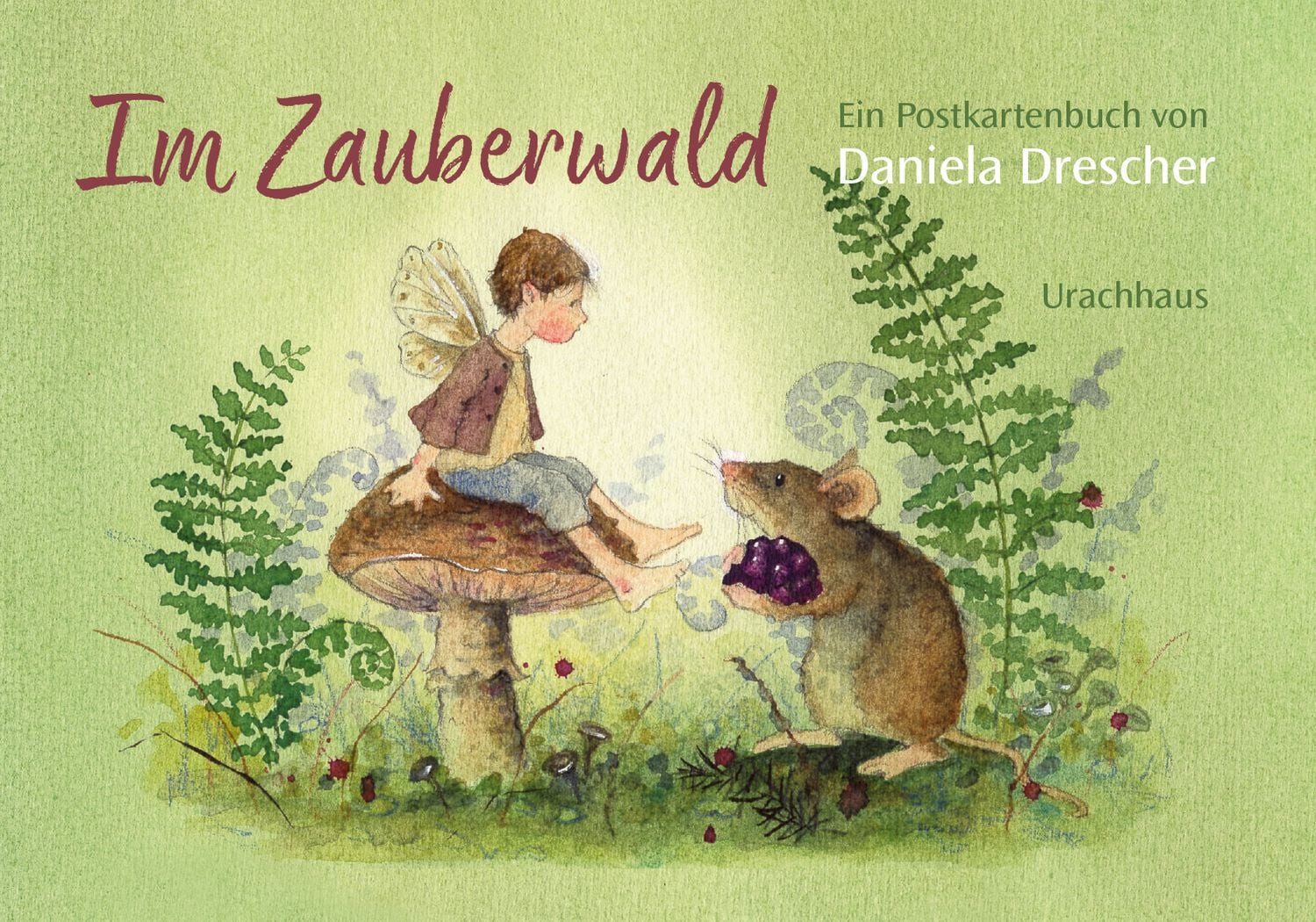 Kinderbuch Postkartenbuch »Im Zauberwald« Daniela Drescher