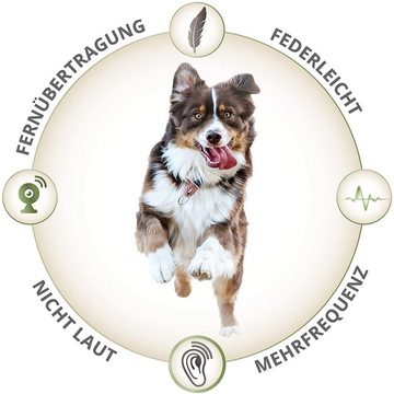 NELADE® Hundepfeife hochfrequenz - hocheffektiv für's Hundetraining - Blau