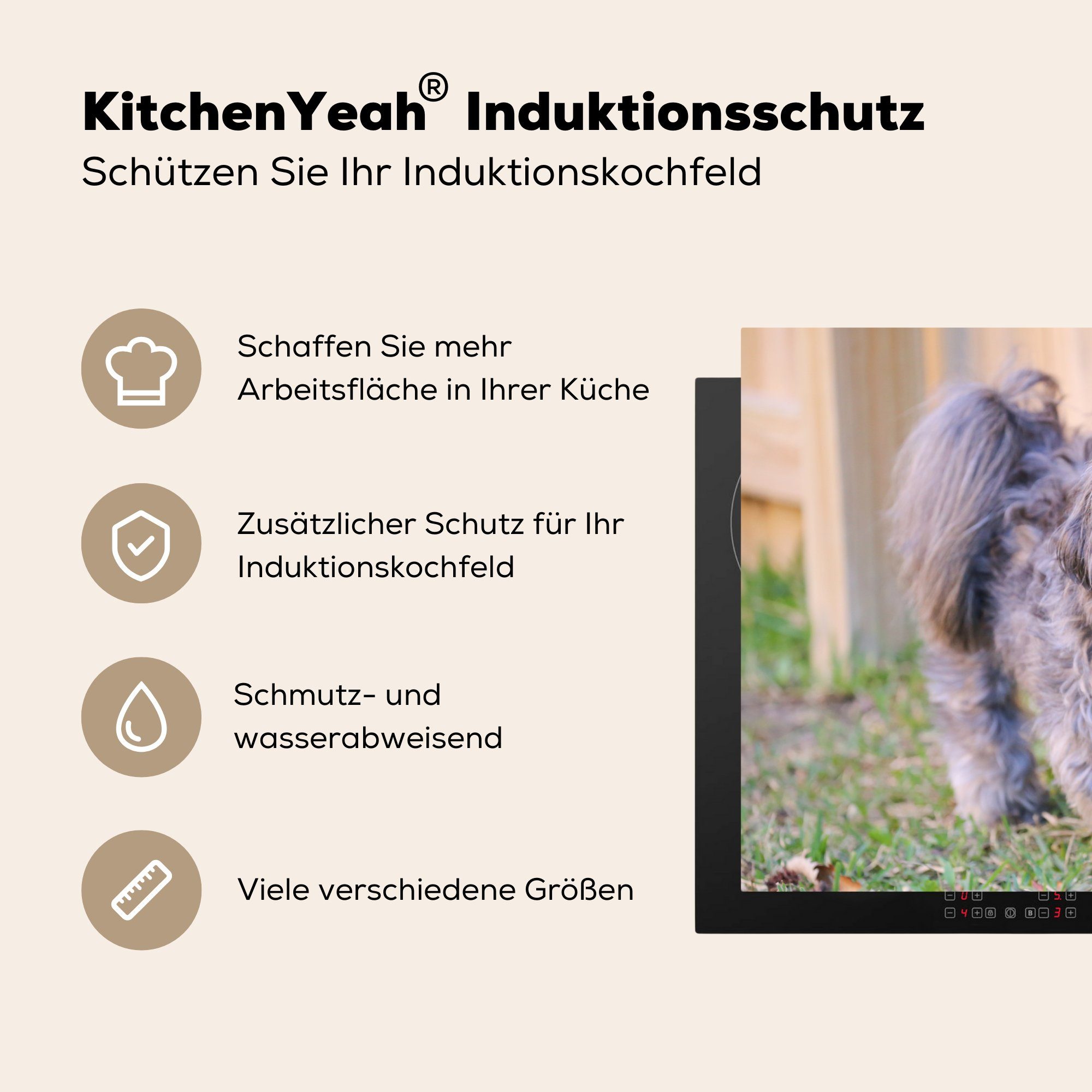 Vinyl, Shih am tlg), schwarzer küche, 81x52 die cm, MuchoWow Herdblende-/Abdeckplatte Schutz Ceranfeldabdeckung Ein Hund für Zaun, Tzubi (1 Induktionskochfeld