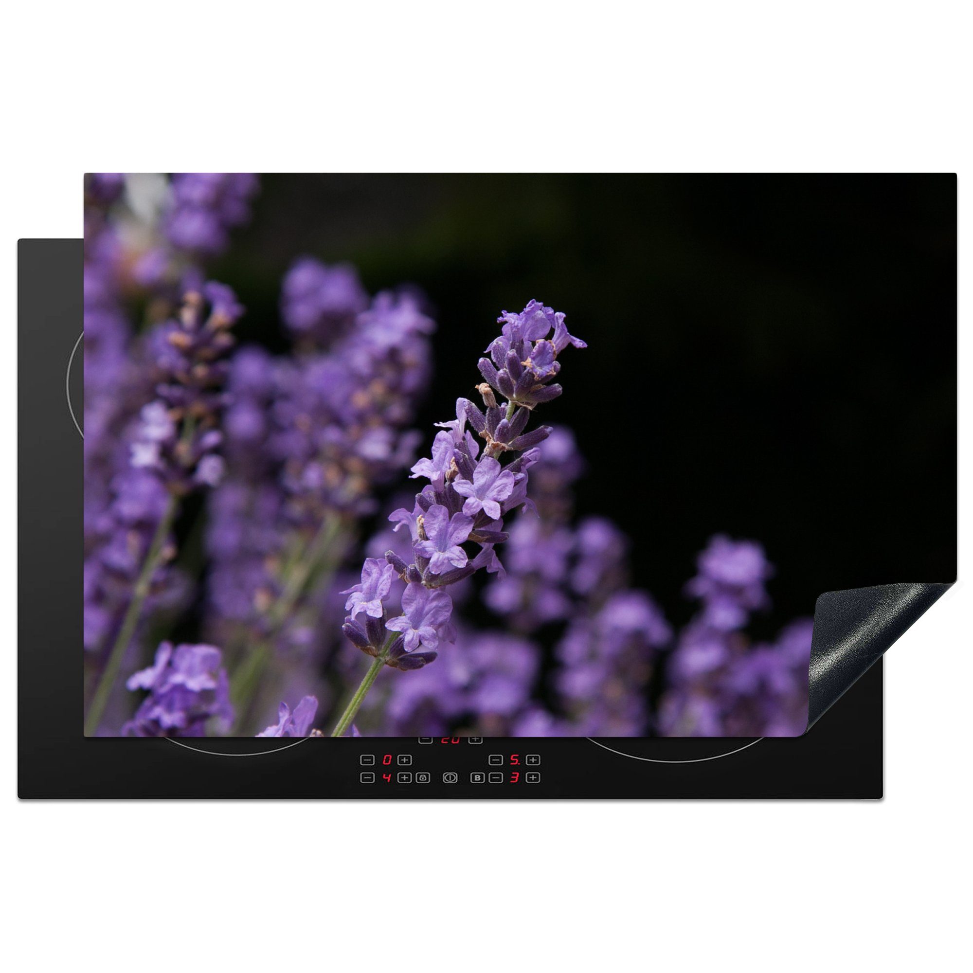 MuchoWow Herdblende-/Abdeckplatte Nahaufnahme von lila Lavendel auf schwarzem Hintergrund, Vinyl, (1 tlg), 81x52 cm, Induktionskochfeld Schutz für die küche, Ceranfeldabdeckung