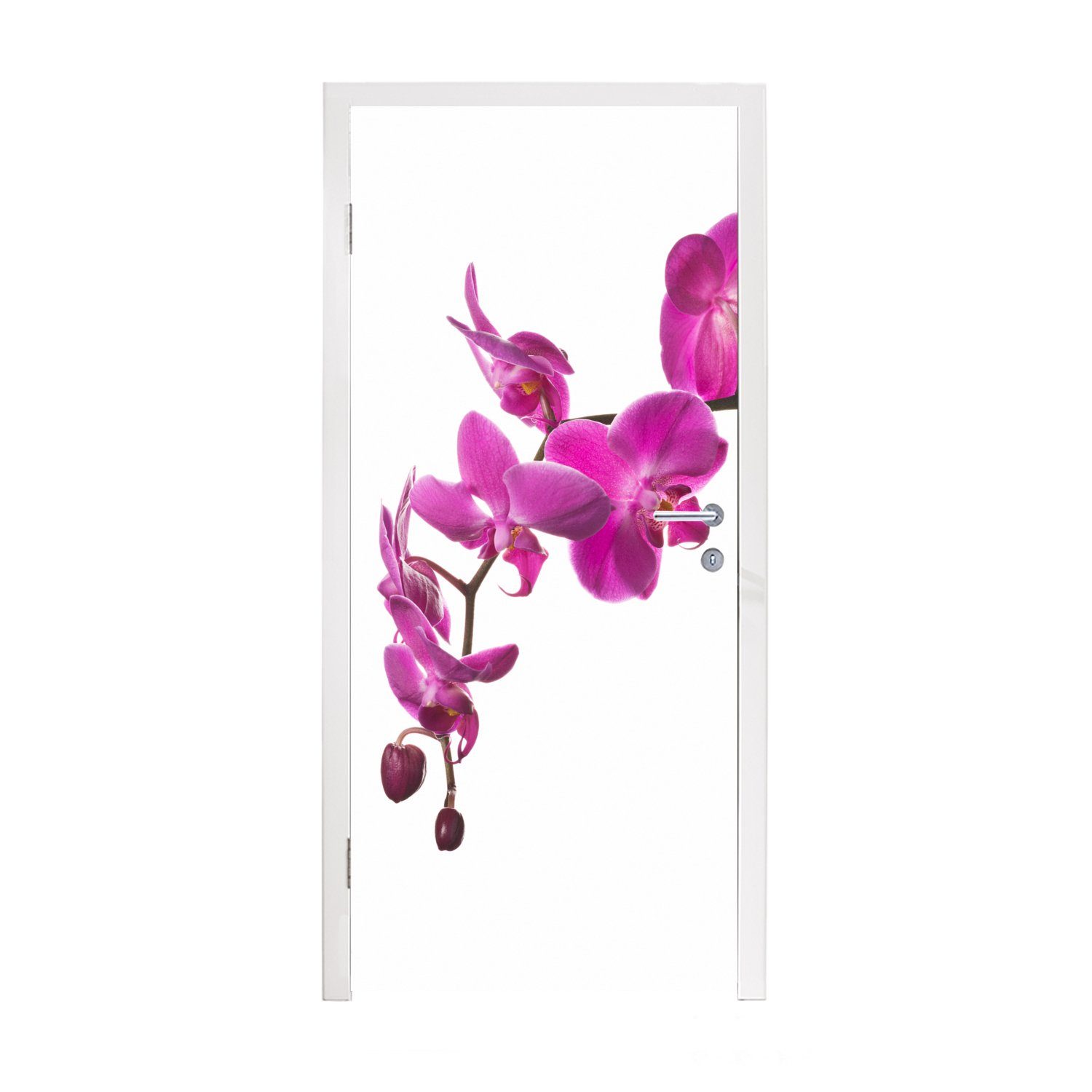 MuchoWow Türtapete Orchidee vor weißem (1 75x205 Hintergrund, cm Fototapete Türaufkleber, für St), Matt, bedruckt, Tür