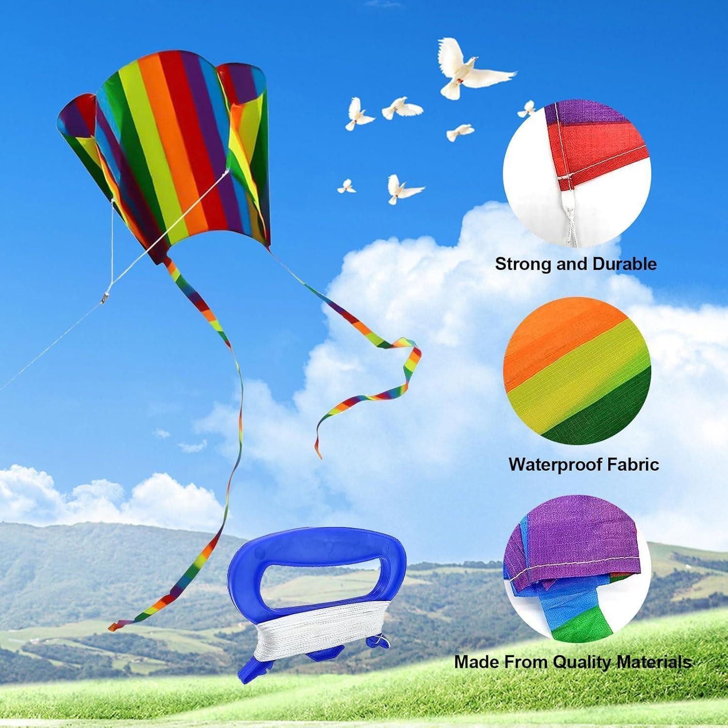 LuxusKollektion Flug-Drache Drachen Regenbogen Langschwanz Flugdrachen Geschenk 2 Stück