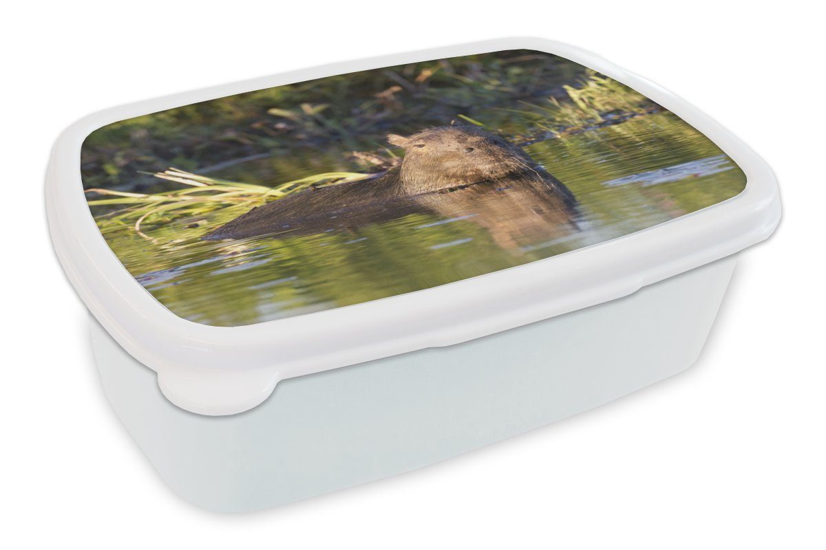 MuchoWow Lunchbox Capybara im Wasser, Kunststoff, (2-tlg), Brotbox für Kinder und Erwachsene, Brotdose, für Jungs und Mädchen weiß