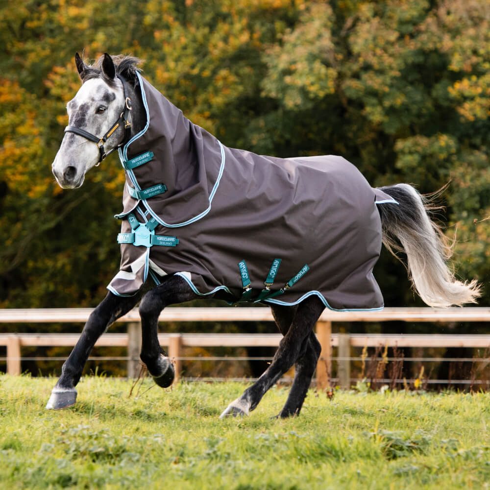 Horseware Pferde-Thermodecke Horseware Amigo Bravo 12 Plus Turnout Medium 250g Disc