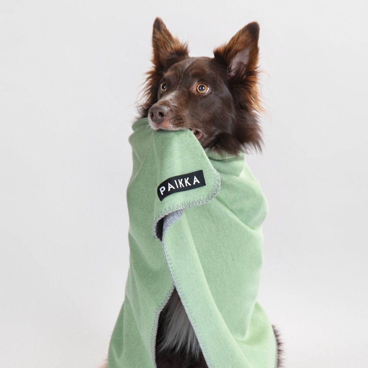 PAIKKA Tierdecke Decke wärmend "Recovery Blanket" grün