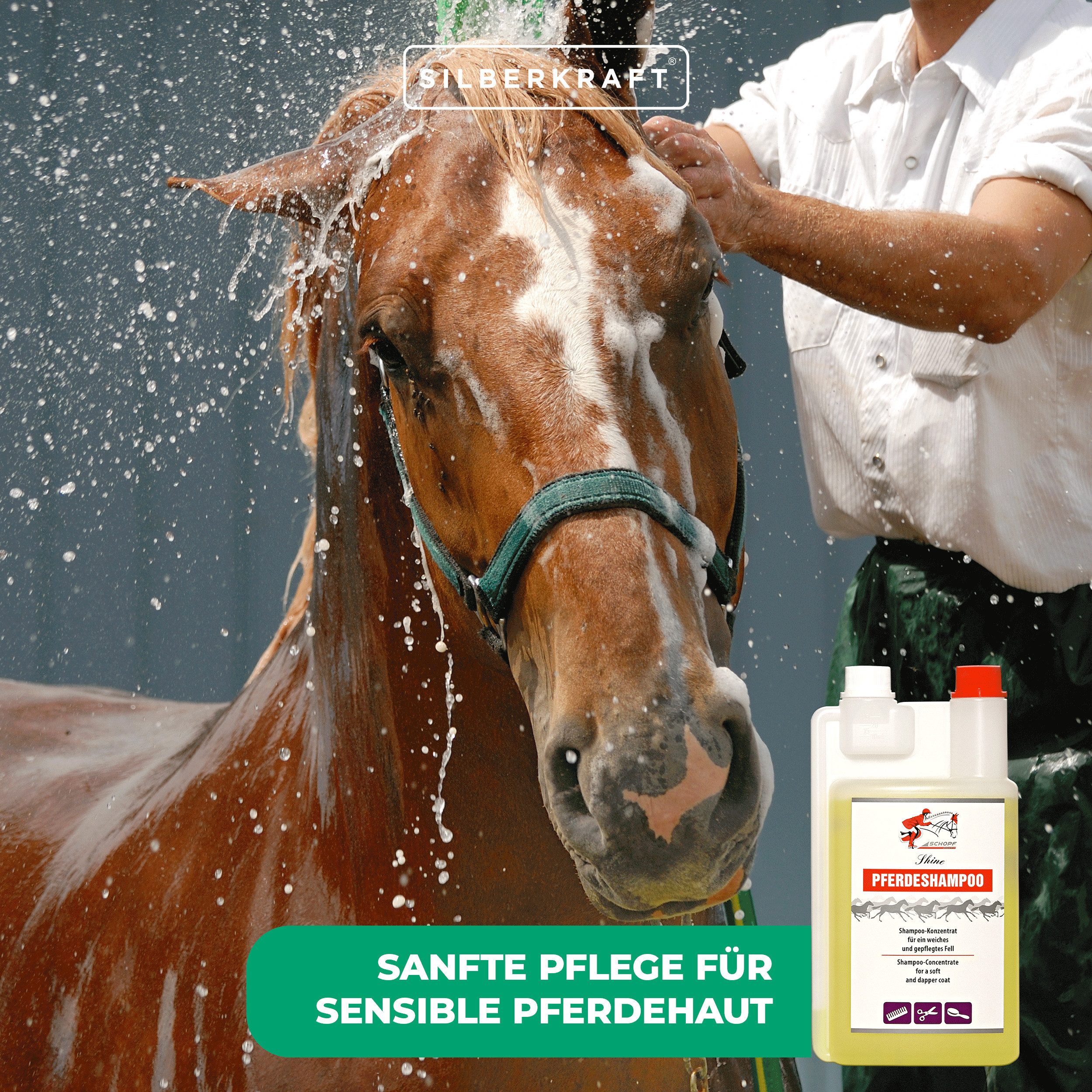 Silberkraft Tiershampoo Sensitiv Shampoo für Pferde und Fohlen, 500 ml, (Besonders sanft zur Haut, 1-St., Ohne Farbstoffe & Sulfate – Mit Aloe Vera & Vitamin E), Milde Pflegeformel für empfindliche Tierhaut
