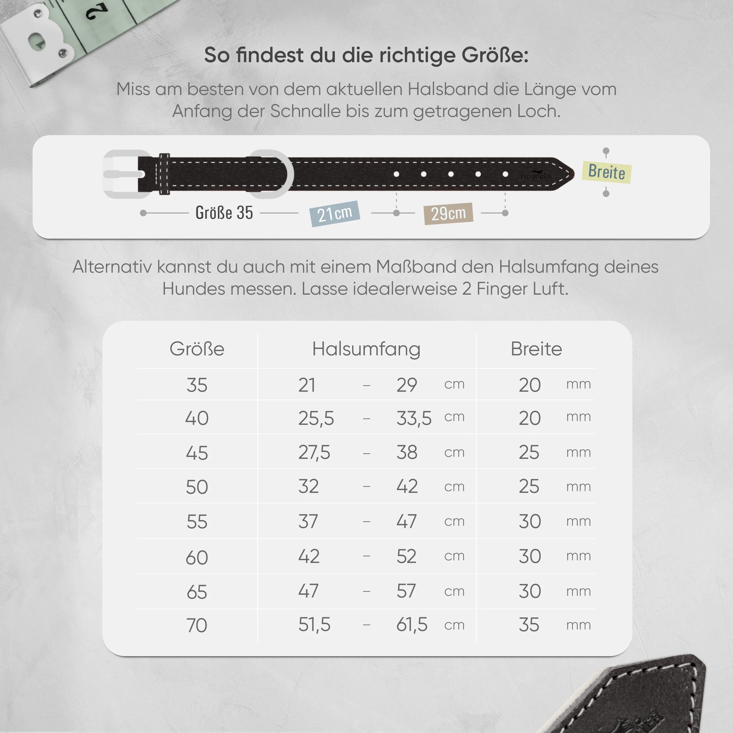Freudentier Hunde-Halsband Hundehalsband Leder, Hundehalsband für große Hunde & kleine Hunde
