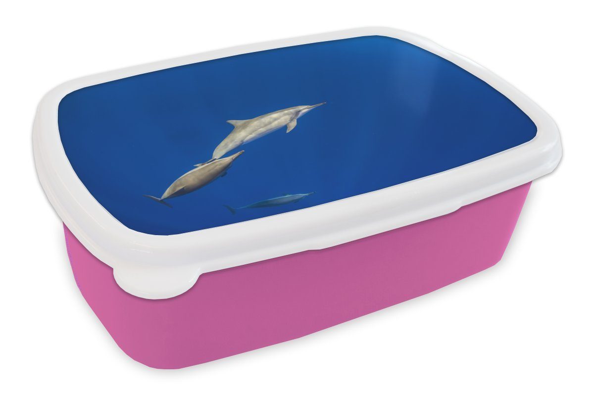 MuchoWow Lunchbox Delfin - Tier - Meer, Kunststoff, (2-tlg), Brotbox für Erwachsene, Brotdose Kinder, Snackbox, Mädchen, Kunststoff rosa