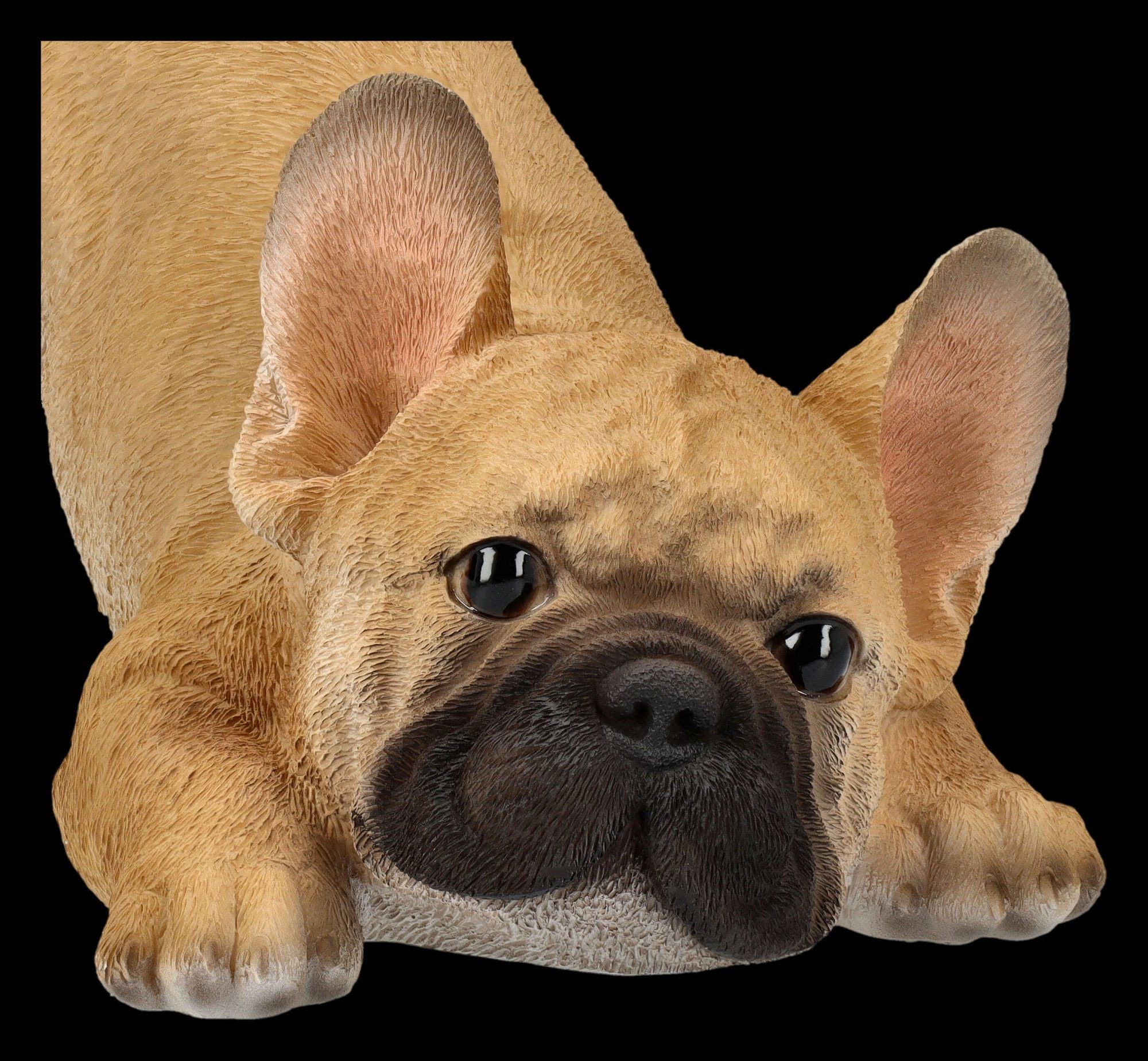 Figuren Shop GmbH Dogge Tierfigur Hundefigur Bulldogge Französische will spielen Hund Welpe - 
