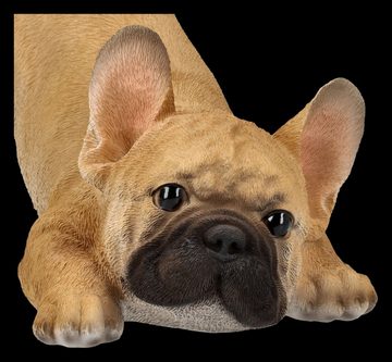 Figuren Shop GmbH Tierfigur Hundefigur - Französische Bulldogge Welpe will spielen - Hund Dogge