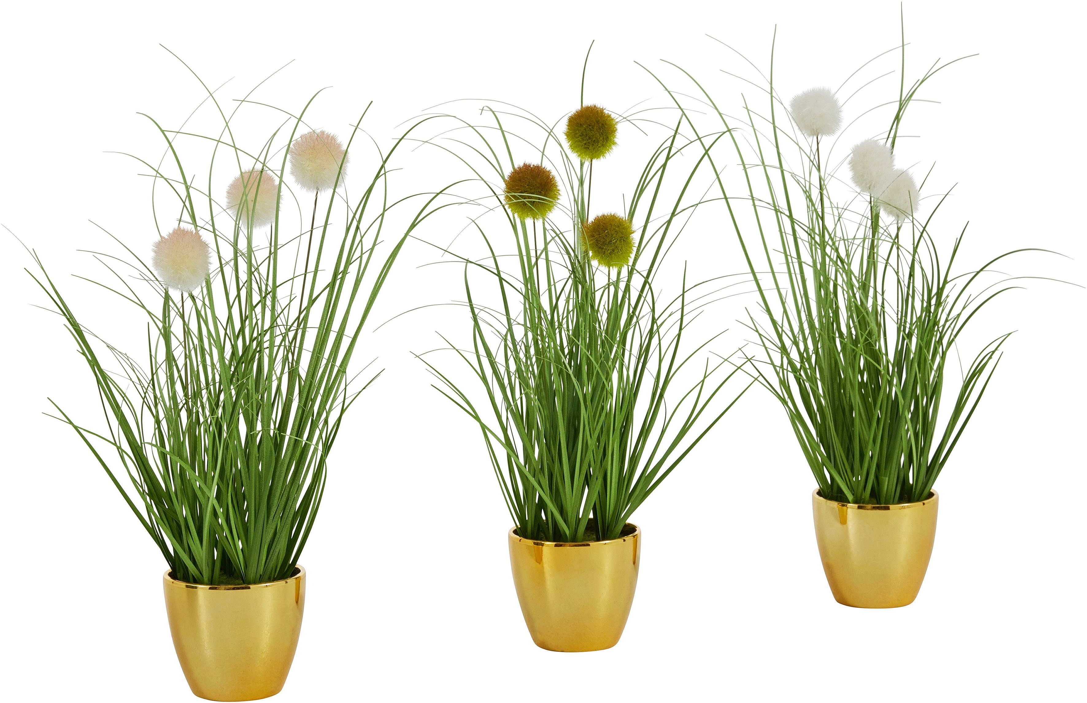 Topf, Gras, im Höhe grün/goldfarben Kunstpflanze, Leonique, 35 Kunstgras 3er-Set cm, Kletten, mit Grasbusch