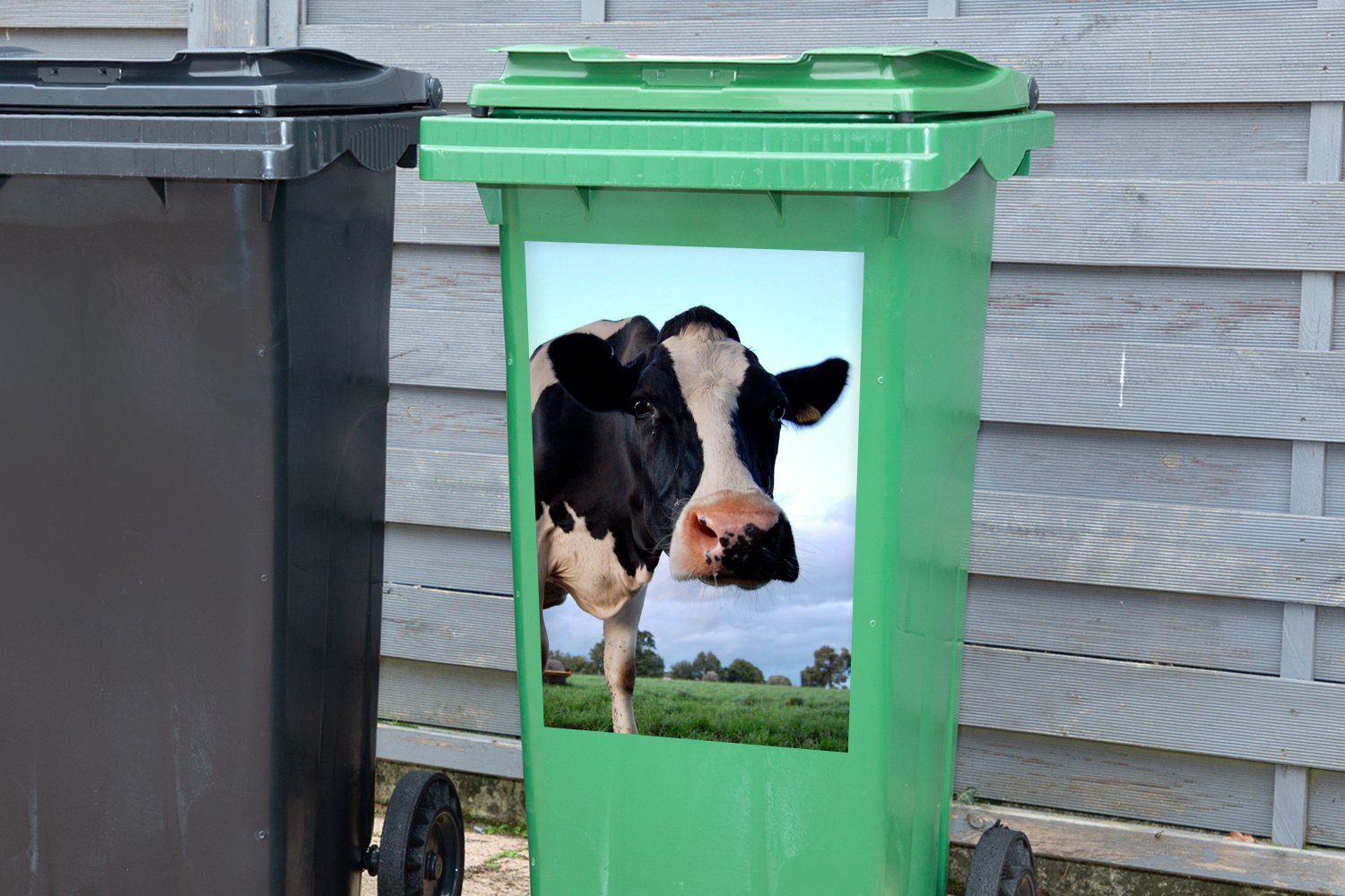 (1 Tiere Wandsticker Container, St), Mülleimer-aufkleber, Gras Bauernhof MuchoWow - Kuh Sticker, - - Mülltonne, Abfalbehälter