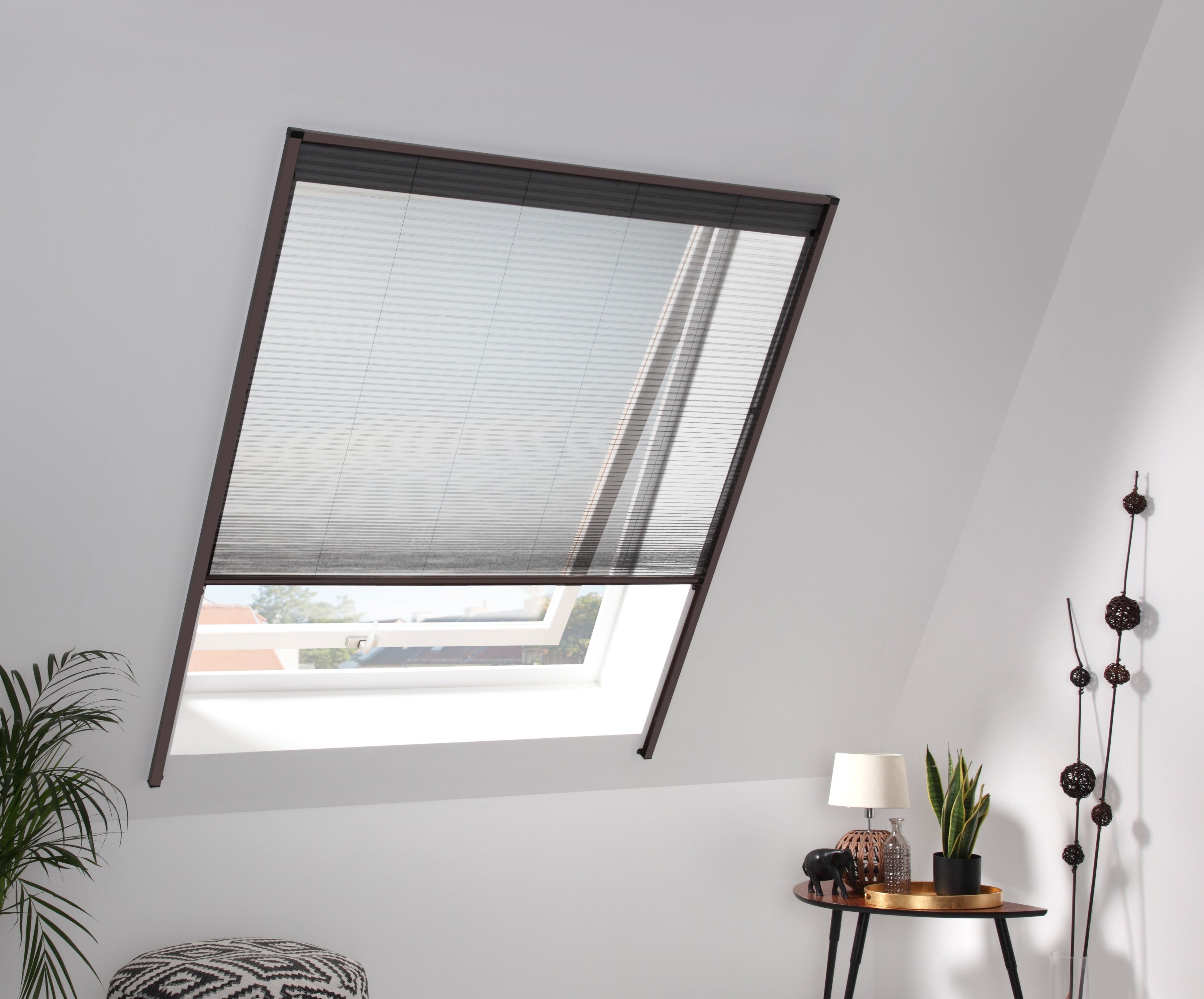 Insektenschutzrollo für cm Dachfenster, braun/schwarz, hecht verschraubt, BxH: international, 160x180 transparent
