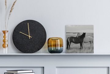 OneMillionCanvasses® Leinwandbild Pferde - Tiere - Porträt - Schwarz-Weiß - Landleben, (1 St), Leinwand Bilder für Wohnzimmer Schlafzimmer