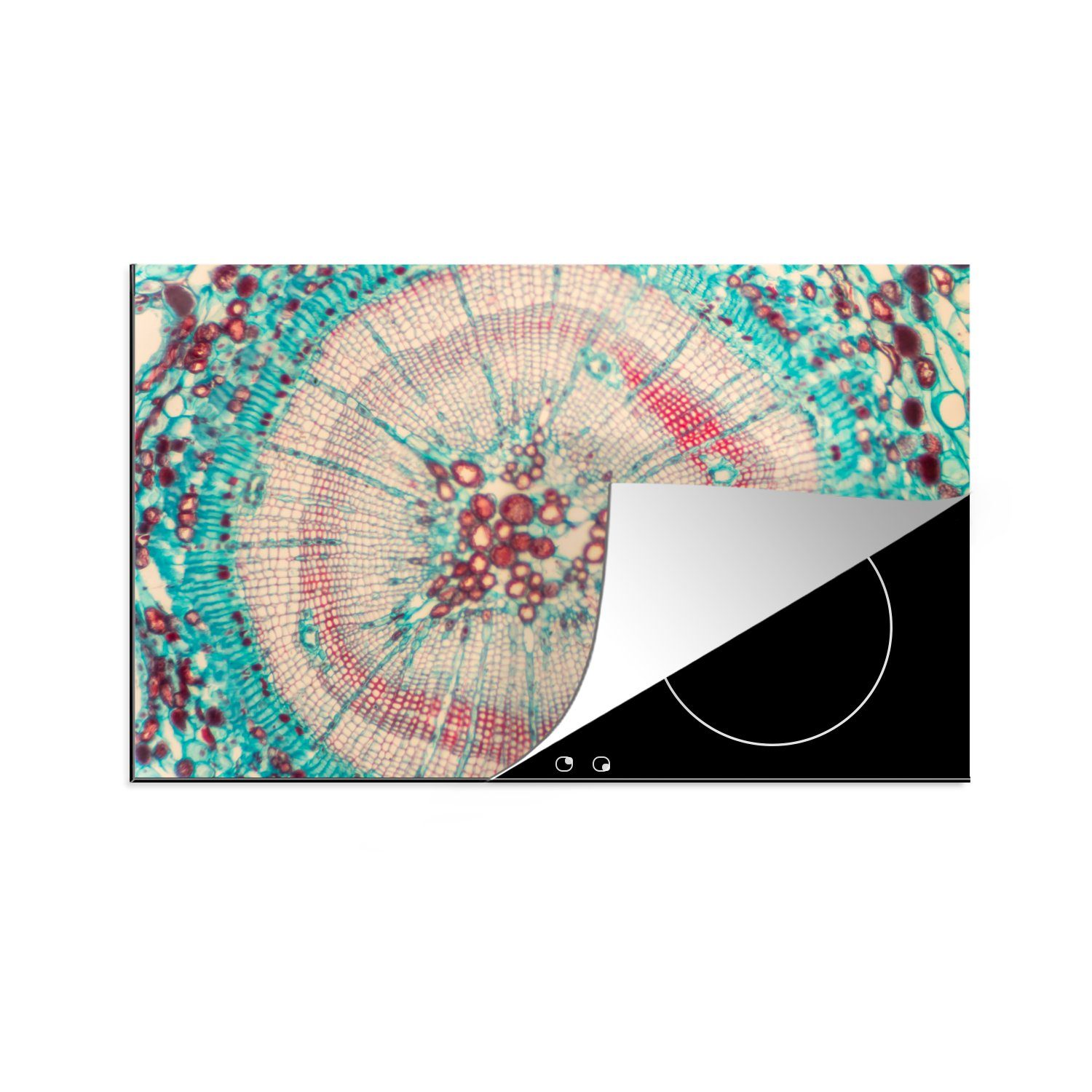 MuchoWow Herdblende-/Abdeckplatte Kreis - Blau - Rot, Vinyl, (1 tlg), 81x52 cm, Induktionskochfeld Schutz für die küche, Ceranfeldabdeckung | Herdabdeckplatten