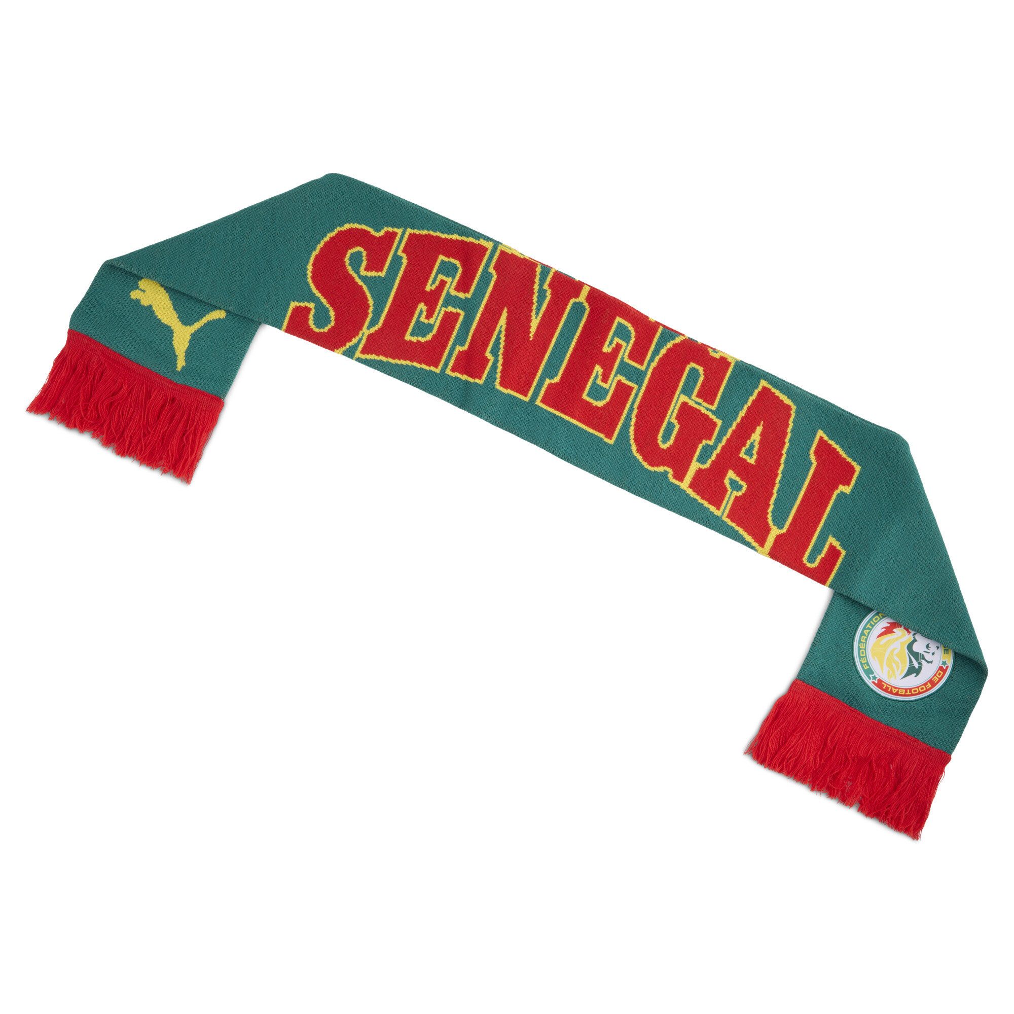 PUMA Schal Senegal ftblCulture Schal Erwachsene