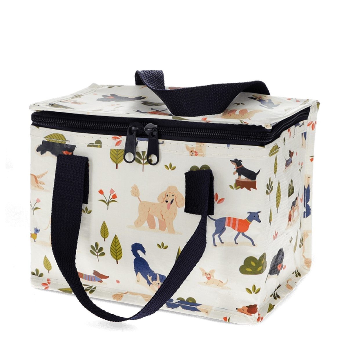 Rex London Thermobehälter Lunch-Tasche isoliert Kühltasche Picknicktasche Isoliertasche 4 Liter