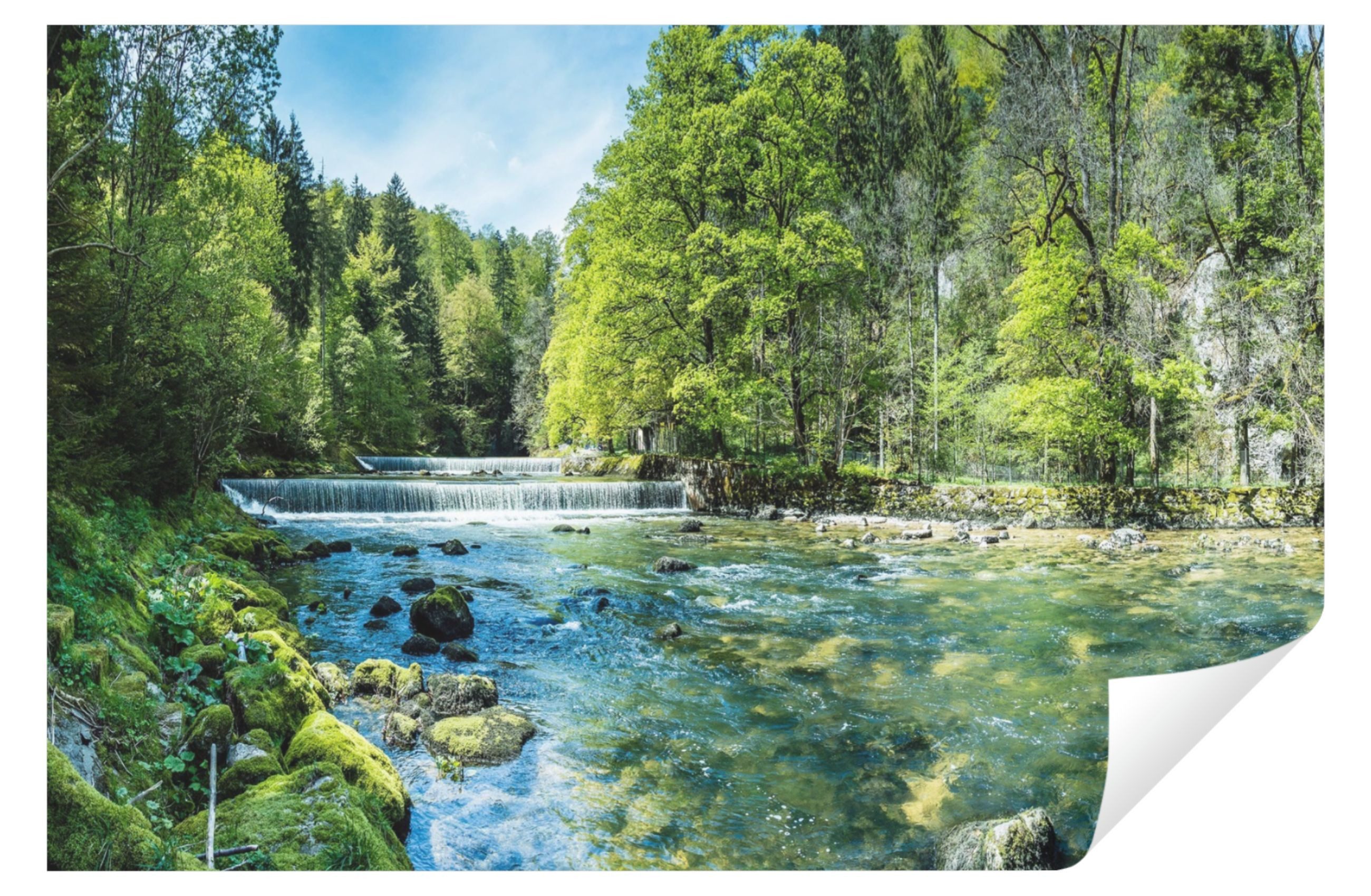 Wallarena Fototapete Wald Natur See Wohnzimmer Schlafzimmer 3D Vlies Tapete günstig online kaufen