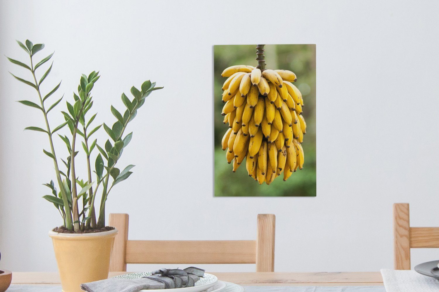 Zweig, fertig bespannt Obst 20x30 - Leinwandbild inkl. - Bananen Leinwandbild (1 cm Gemälde, St), Zackenaufhänger, OneMillionCanvasses®